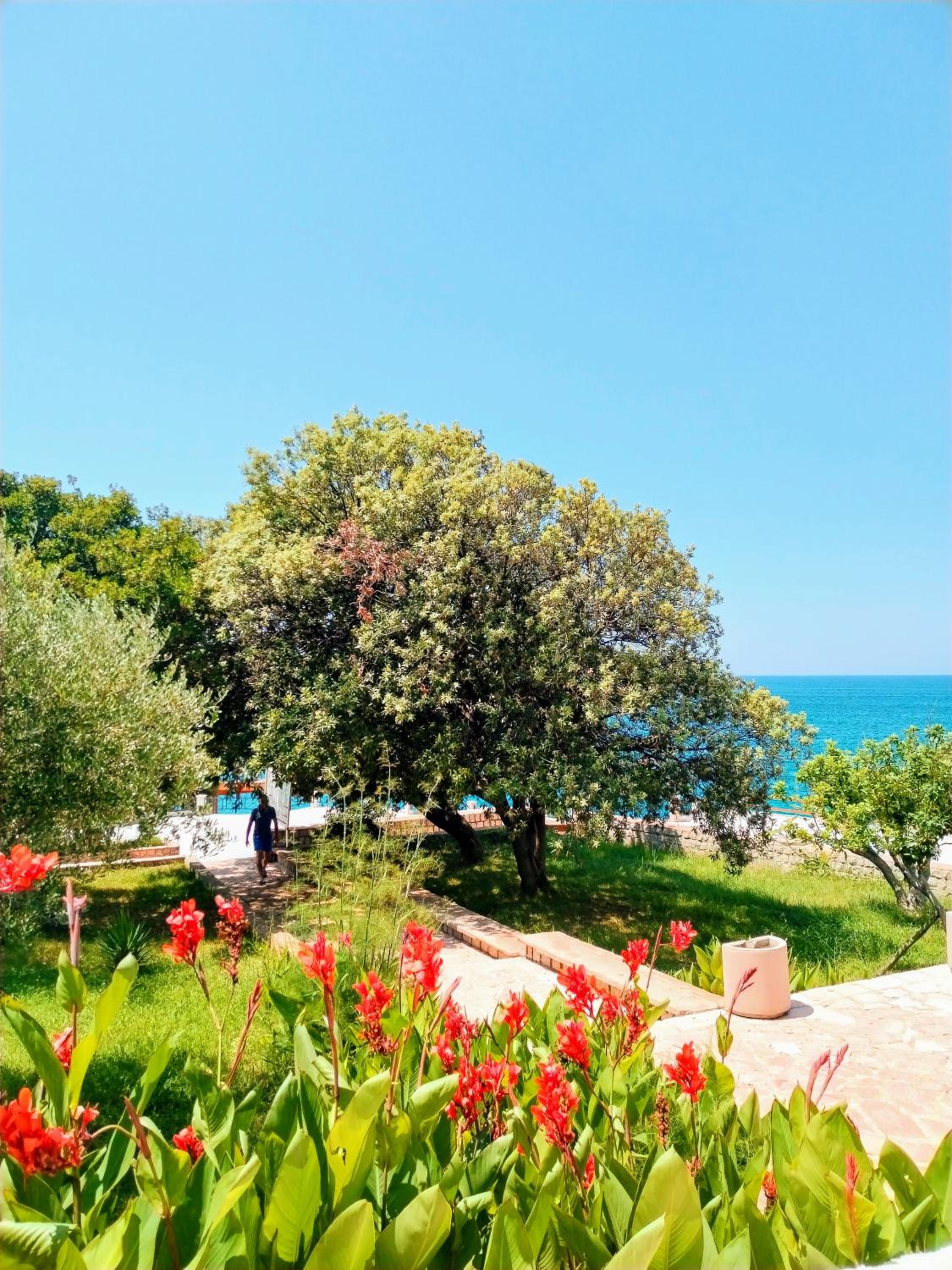Apartmani LJUBICA