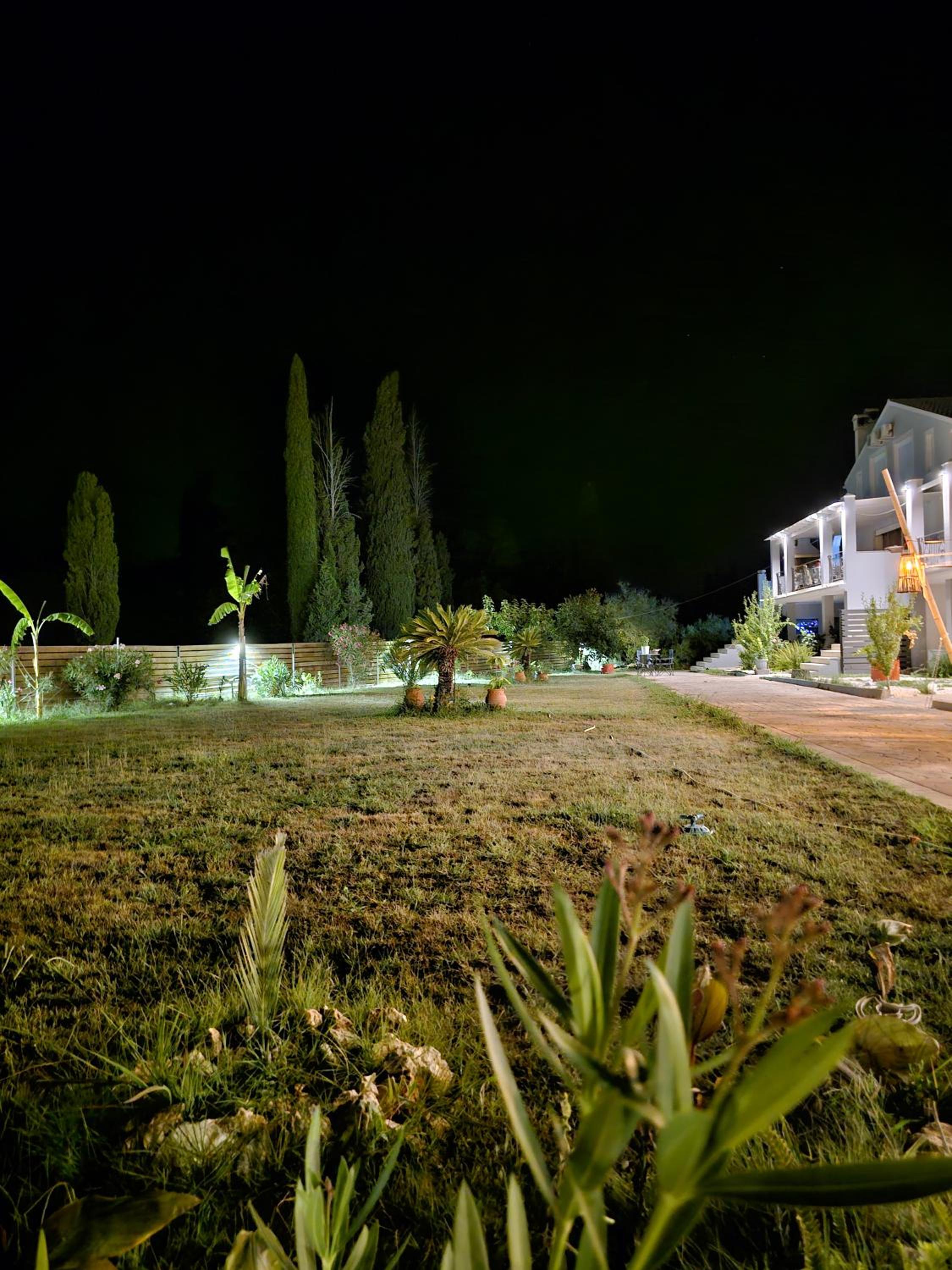 Photo 24