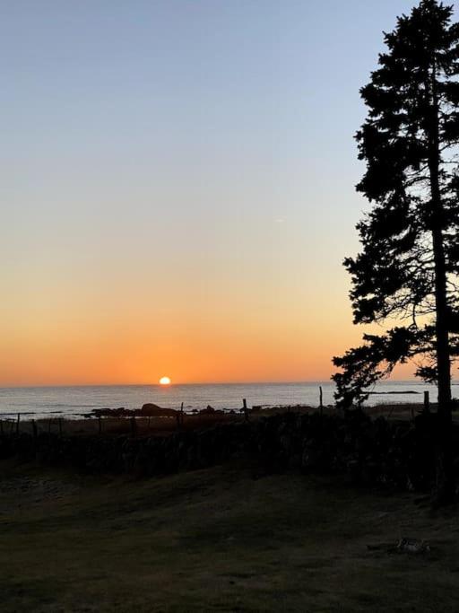 Drömläge på stranden, Unik havsutsikt i Halland view 5