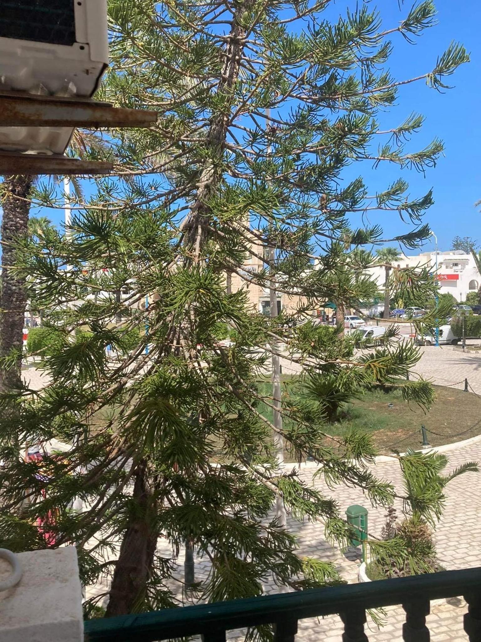Bungalow marina port kantaoui