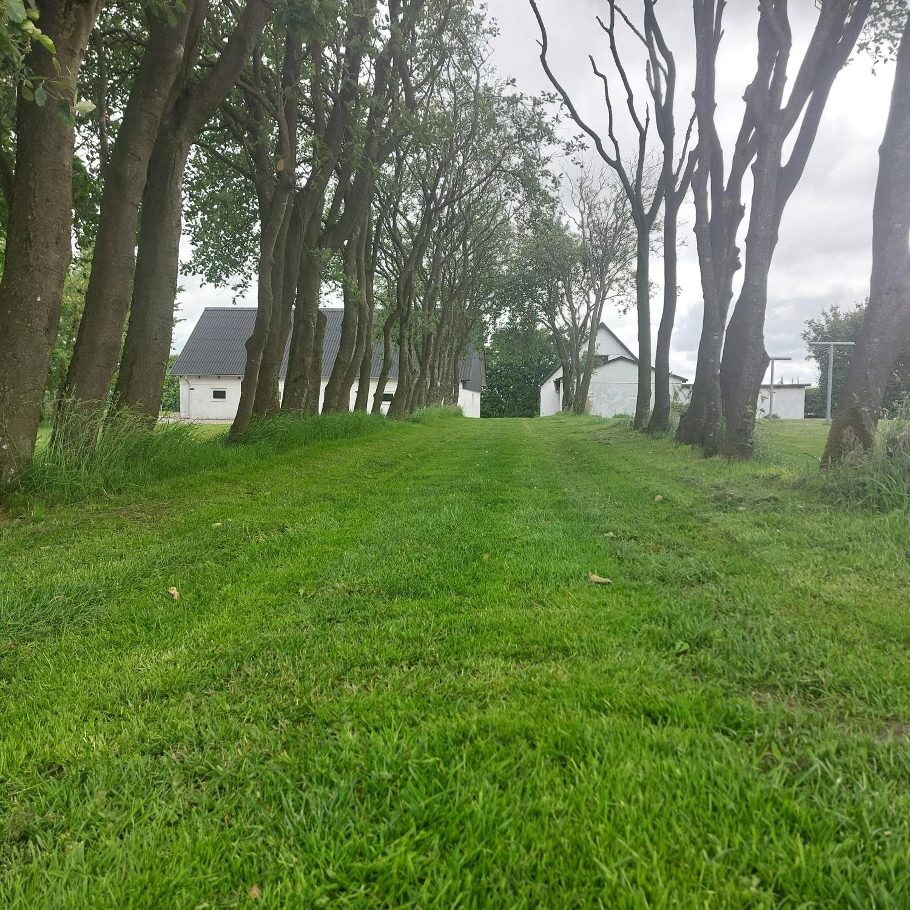 Vakantiewoning Denemarken
