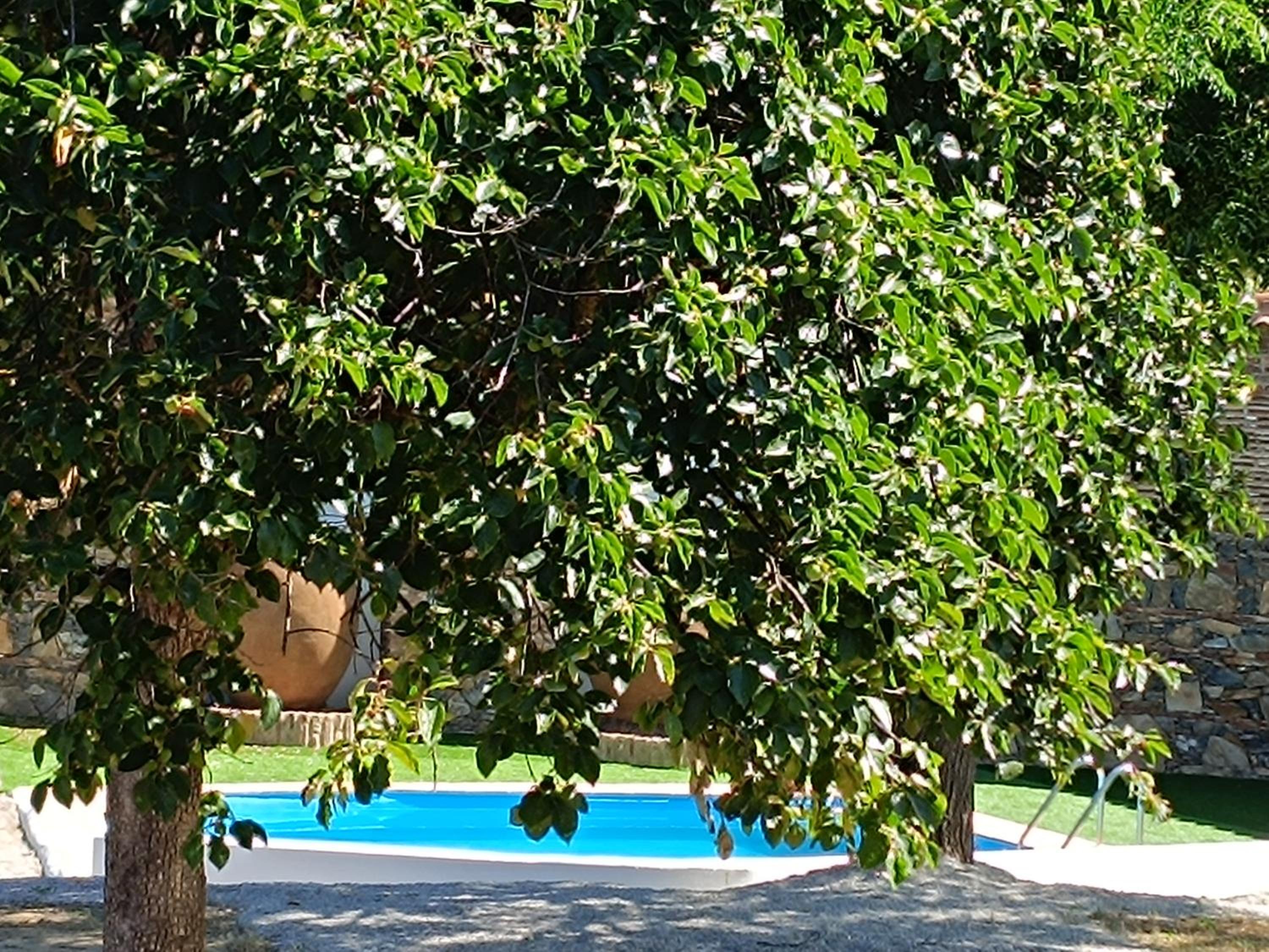 Cortijo San Rafael