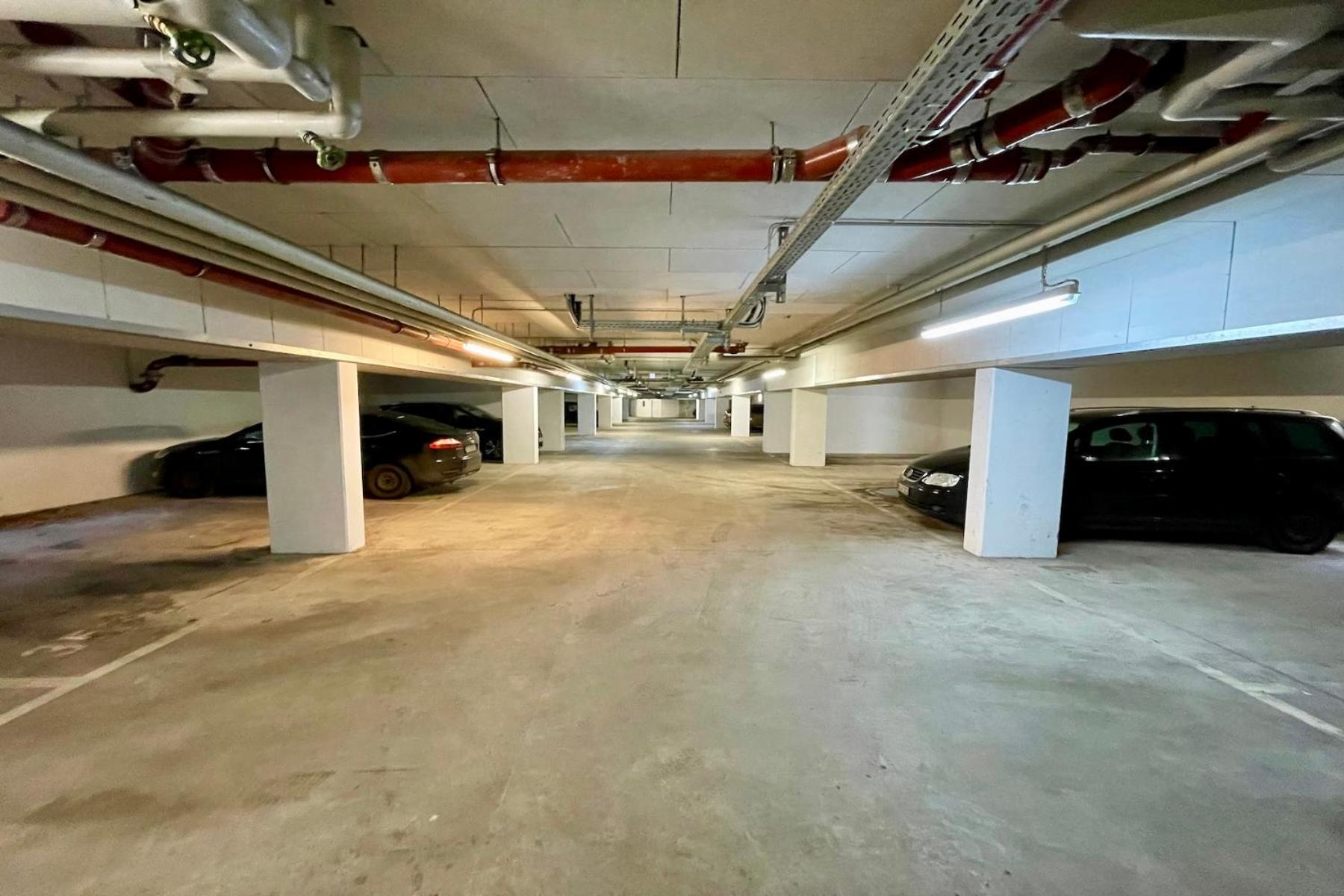 Gemütliche 1-Zimmer-Wohnung in Magdeburg nahe der Elbe
