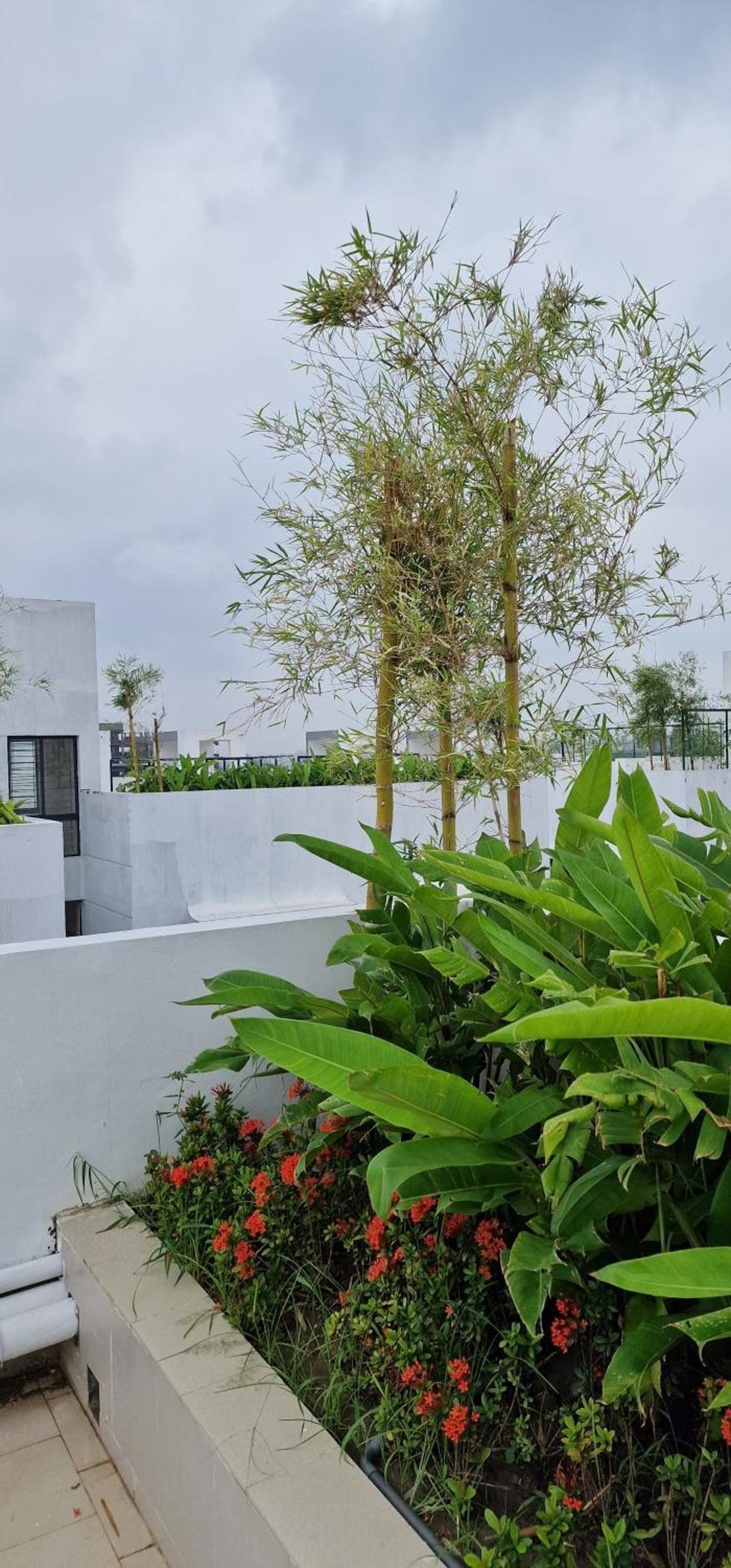 Premium Luxury Apartment with 24 Hour Security, near Dhaka International Airport