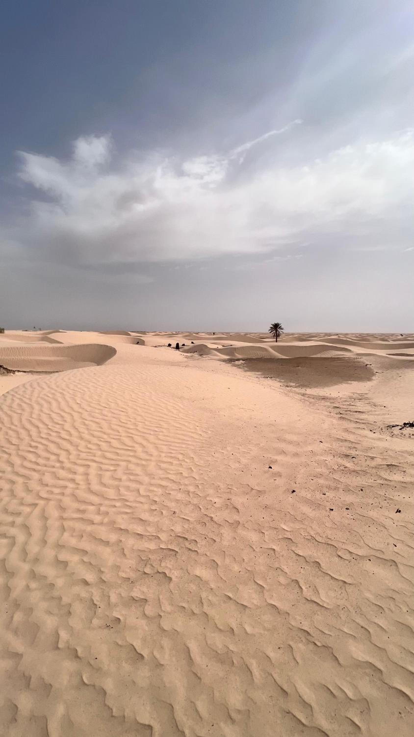 Camp Dunes Insolites Sabria