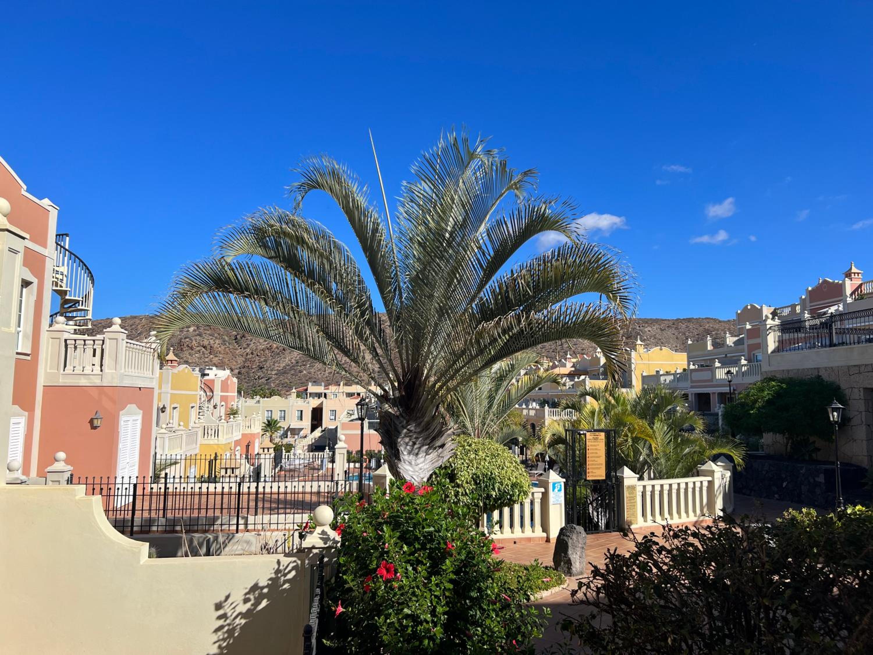 Paraiso Ocean Panorama