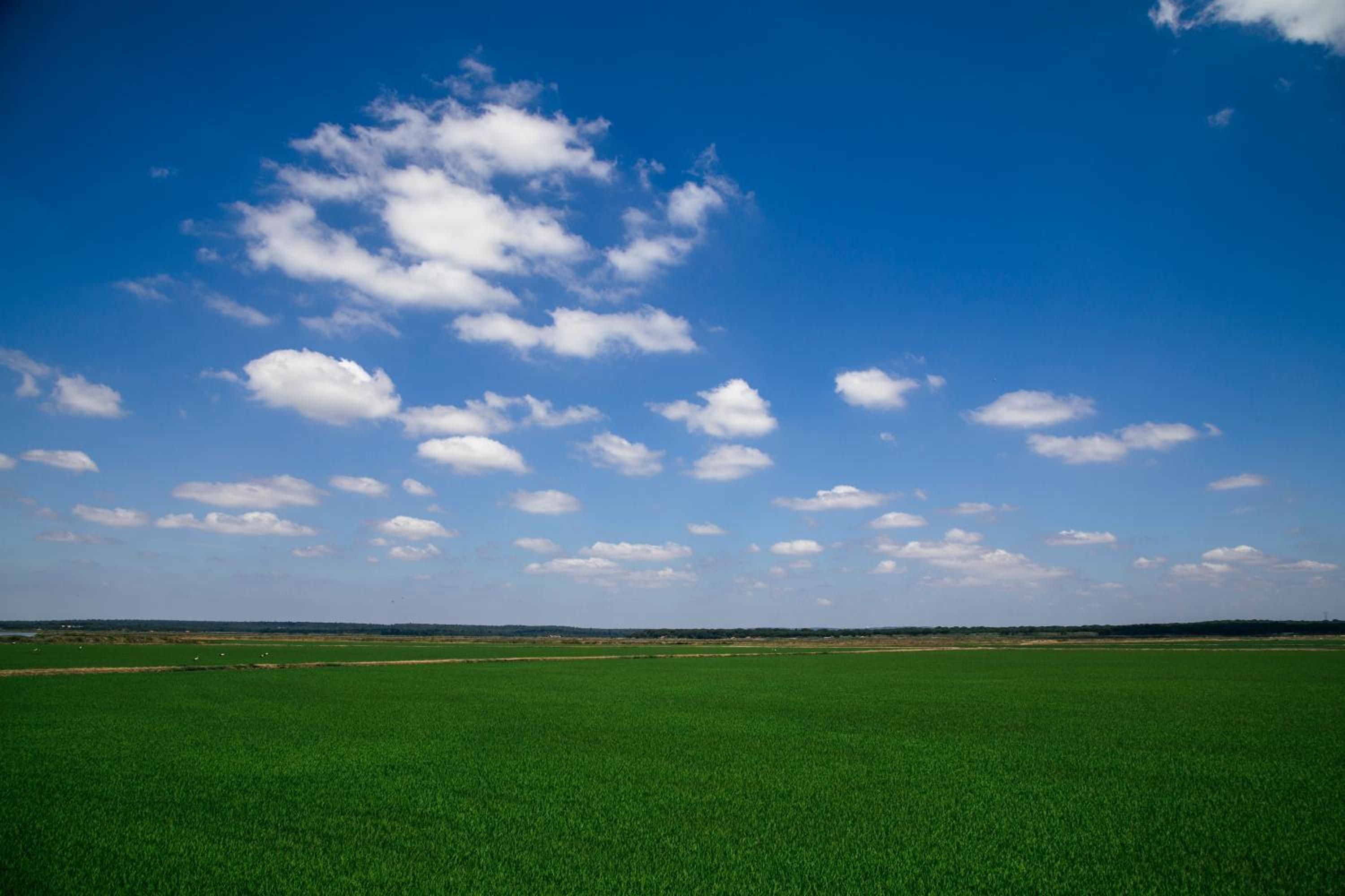 Herdade de Montalvo - Comporta view 2