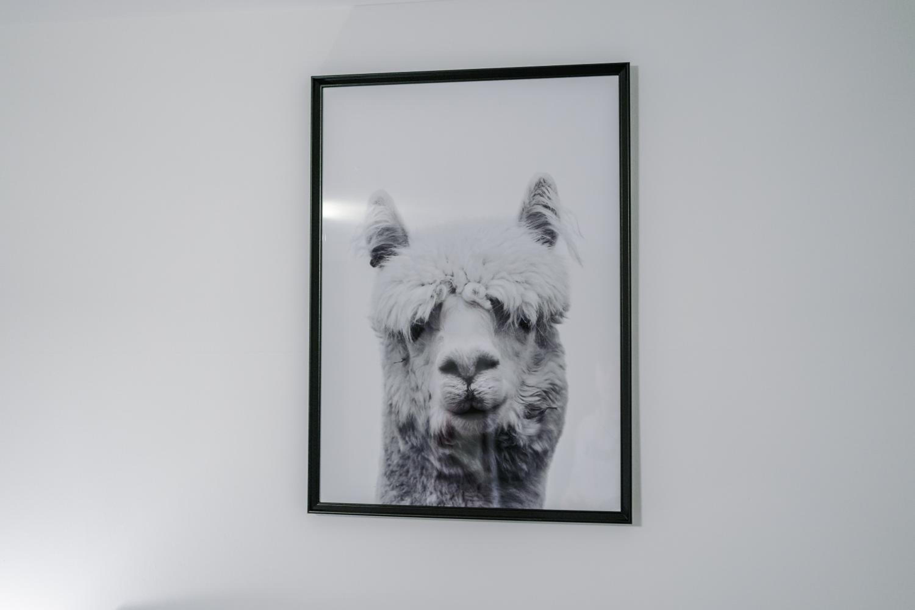 Photo 48