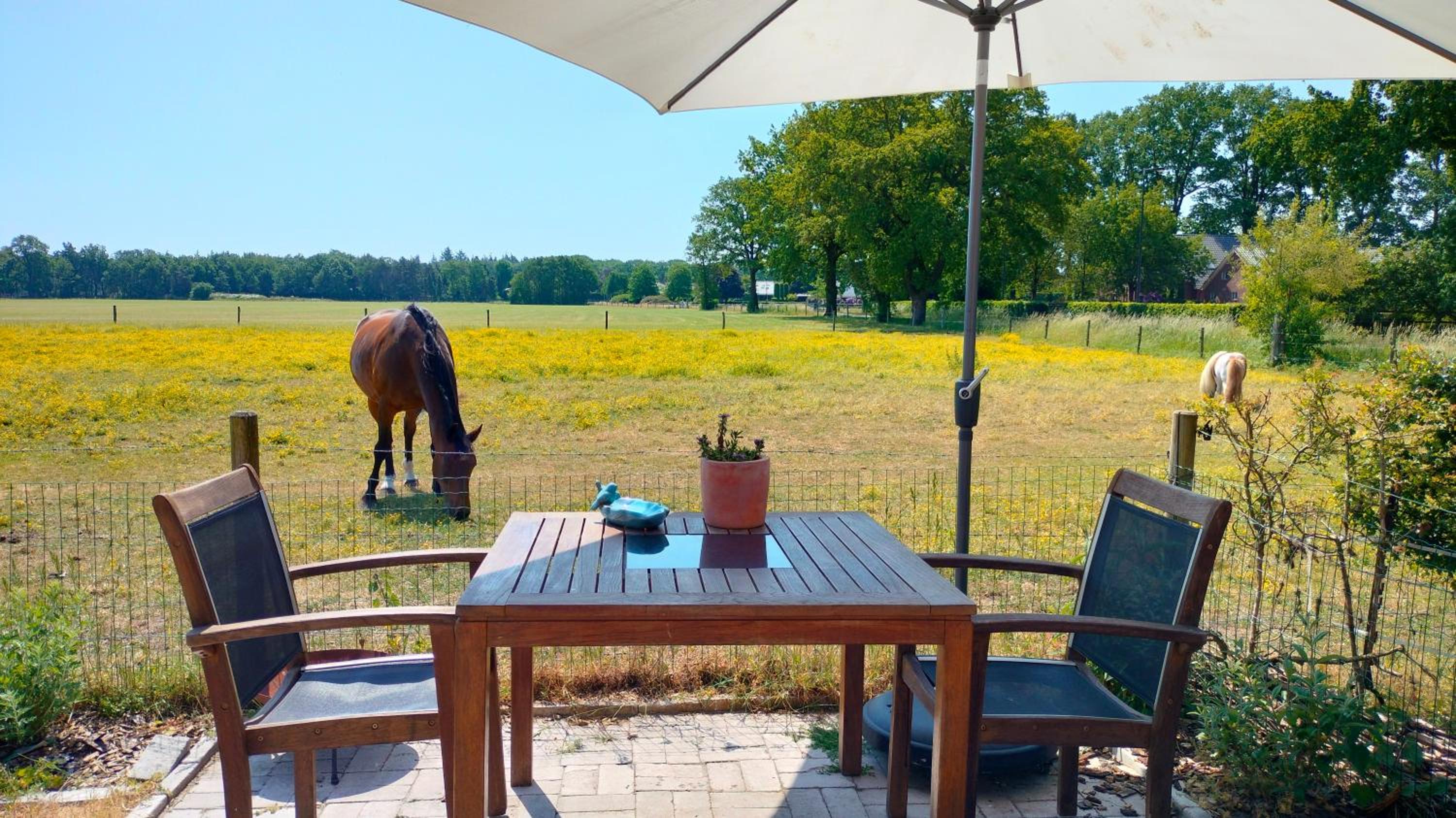 Bed and Breakfast Hammerhoeve