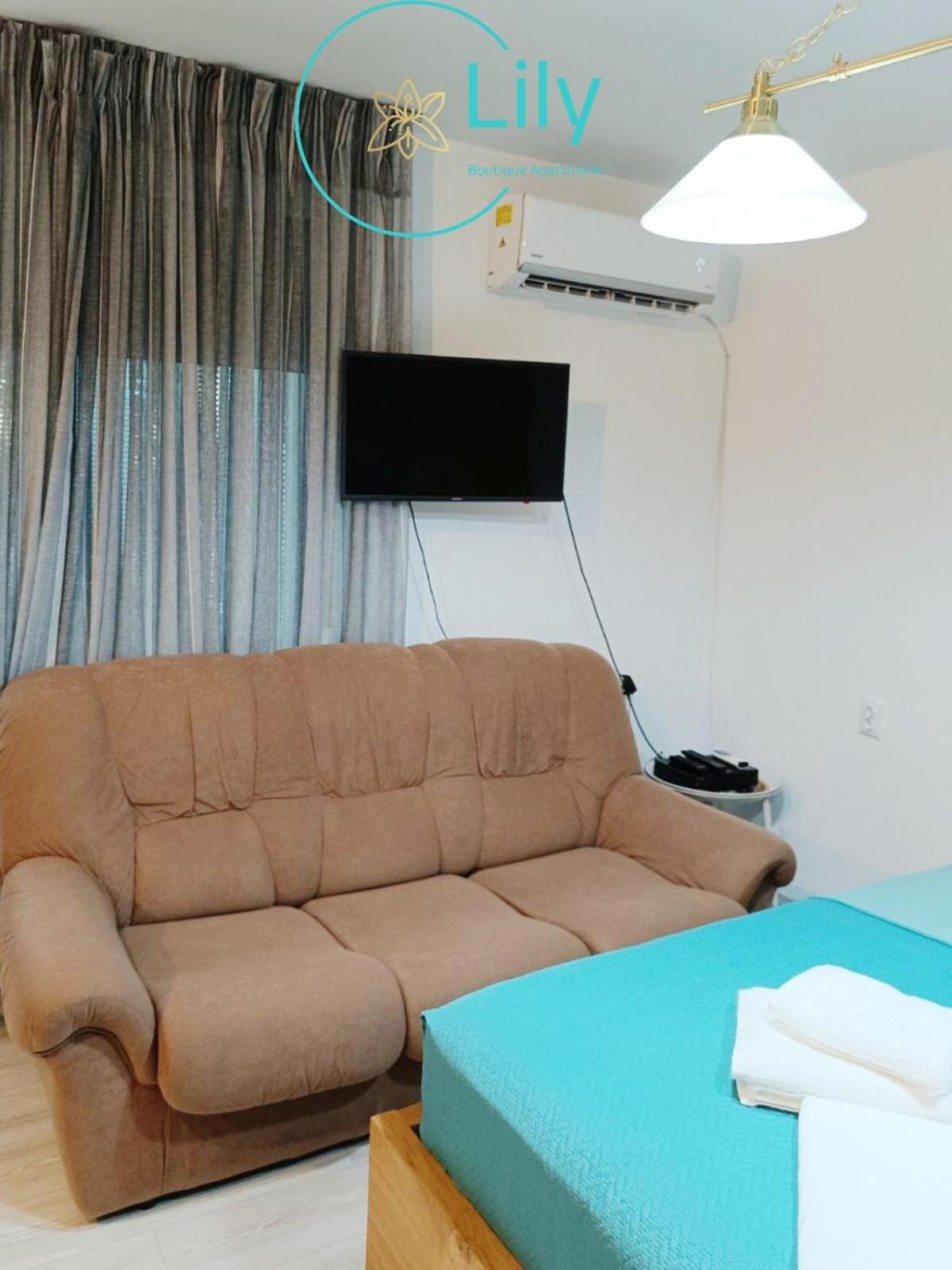 Lily Boutique Apartment view 4