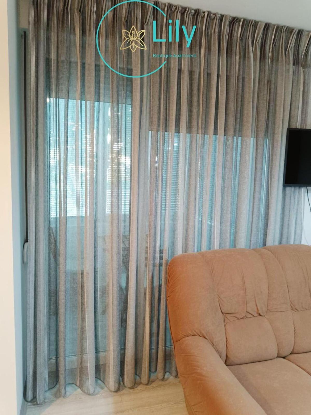 Lily Boutique Apartment view 3