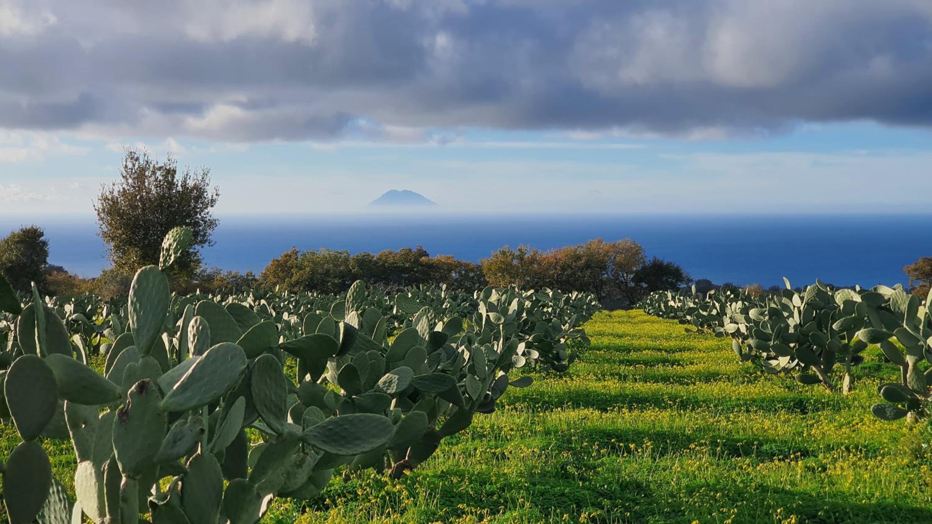Galaxy Rooms Tropea photo 3