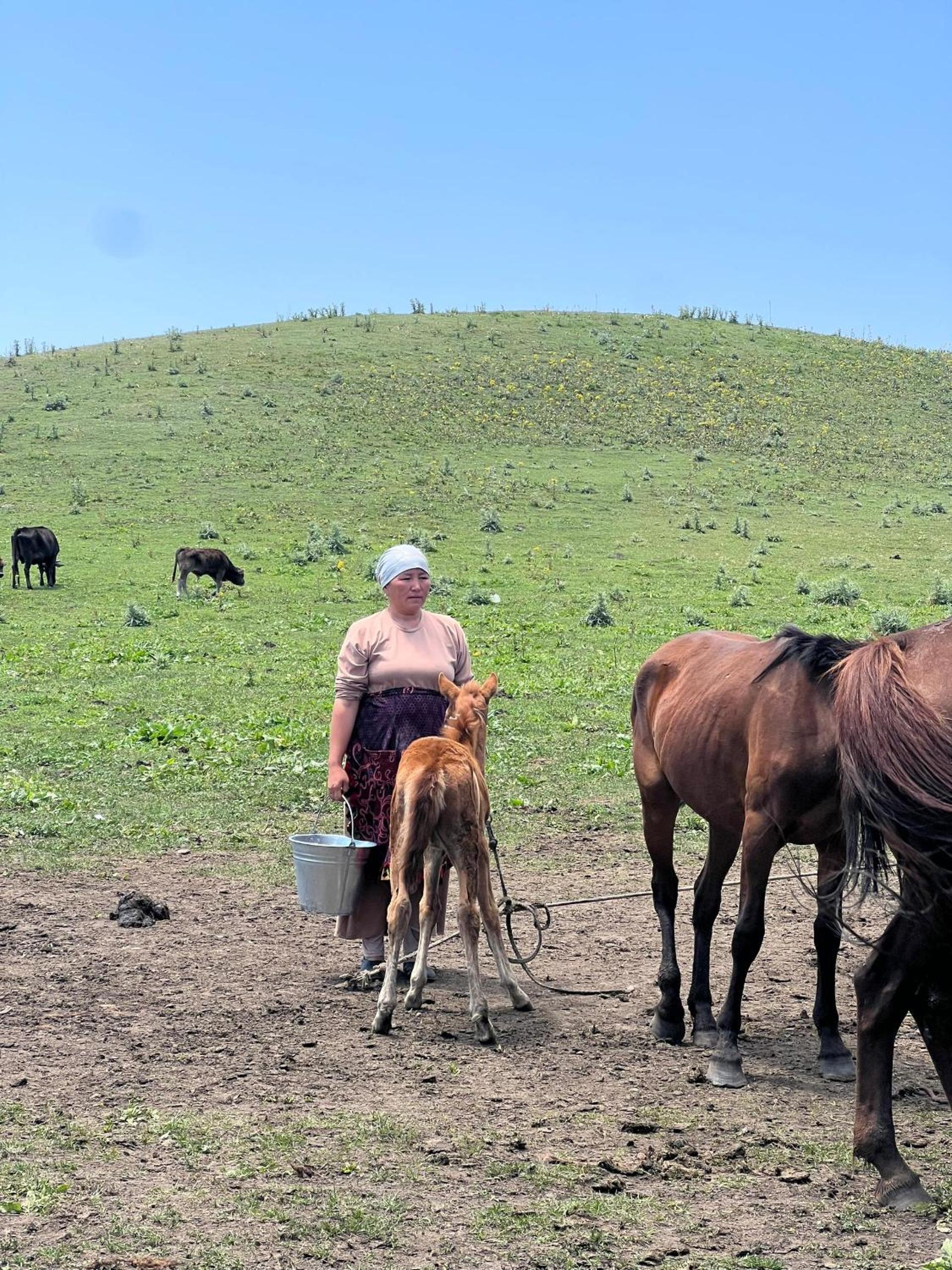 Aldayar Ata yurt camp, Ozgon