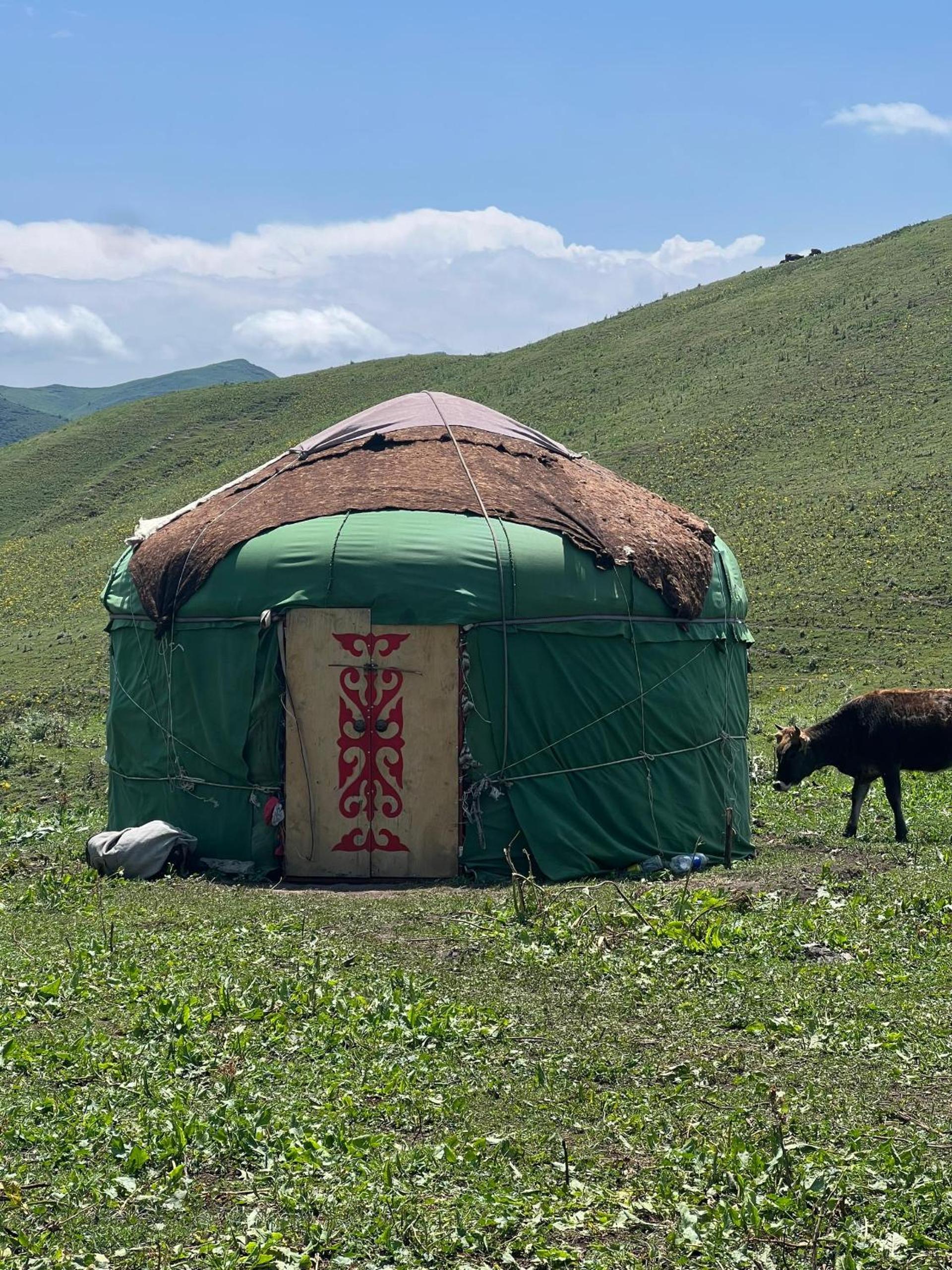 Aldayar Ata yurt camp, Ozgon