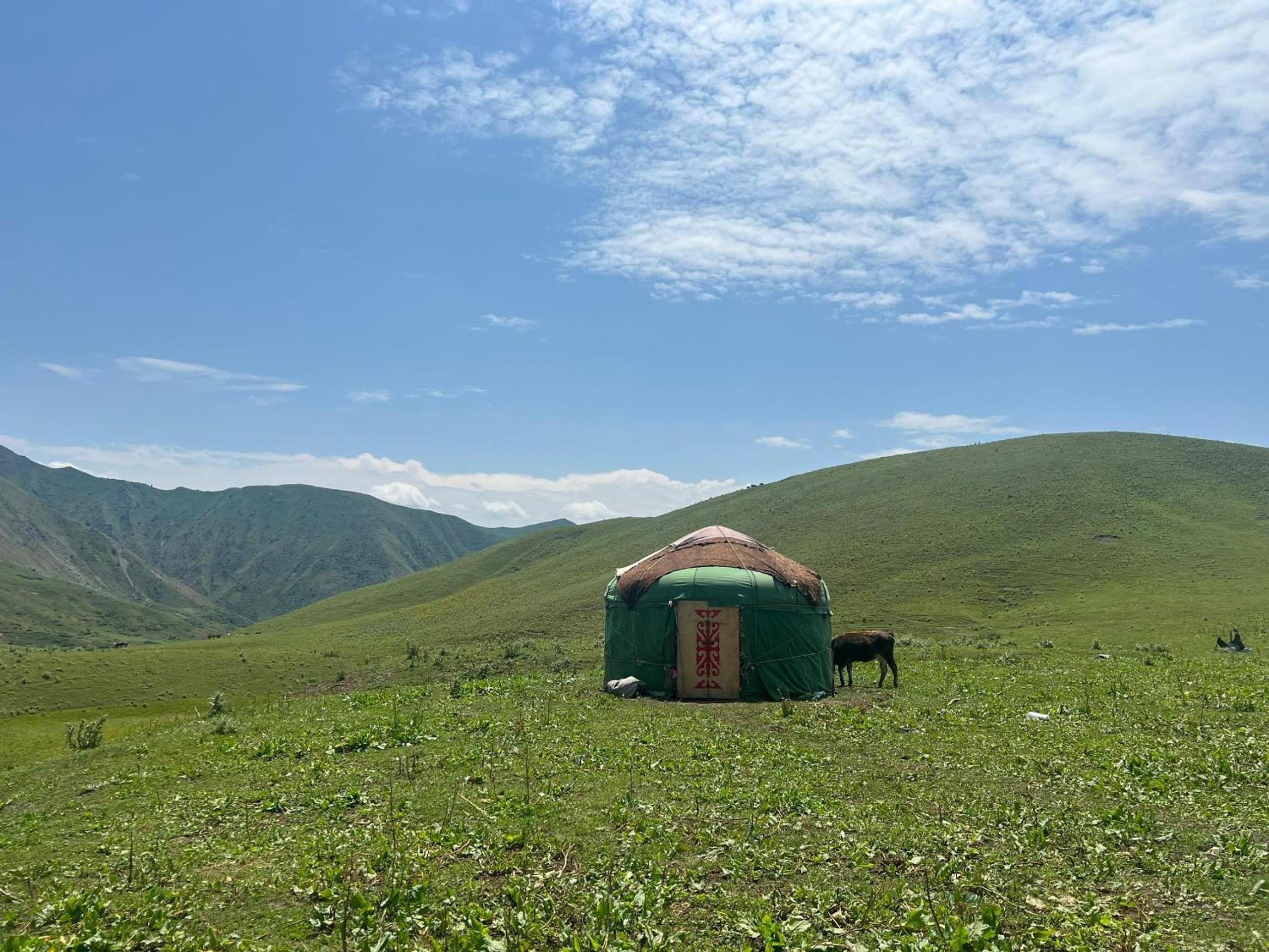 Aldayar Ata yurt camp, Ozgon