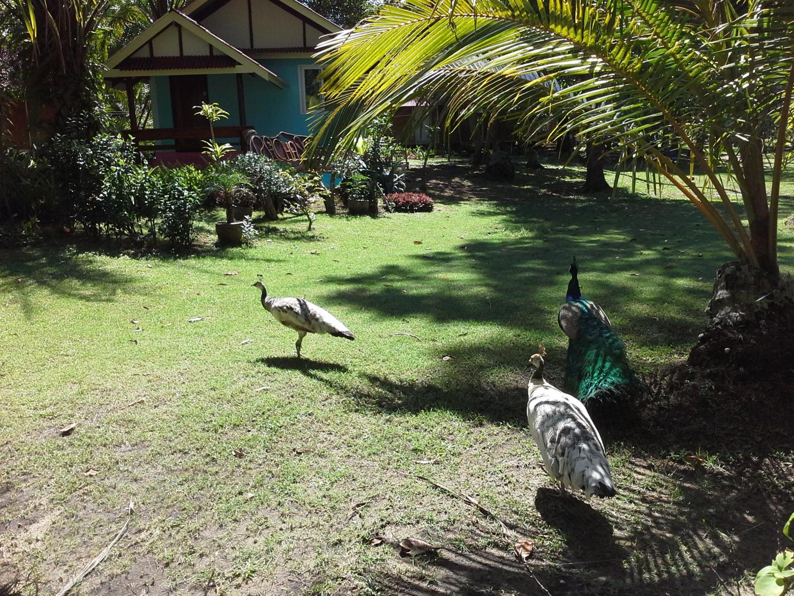 Photo 41