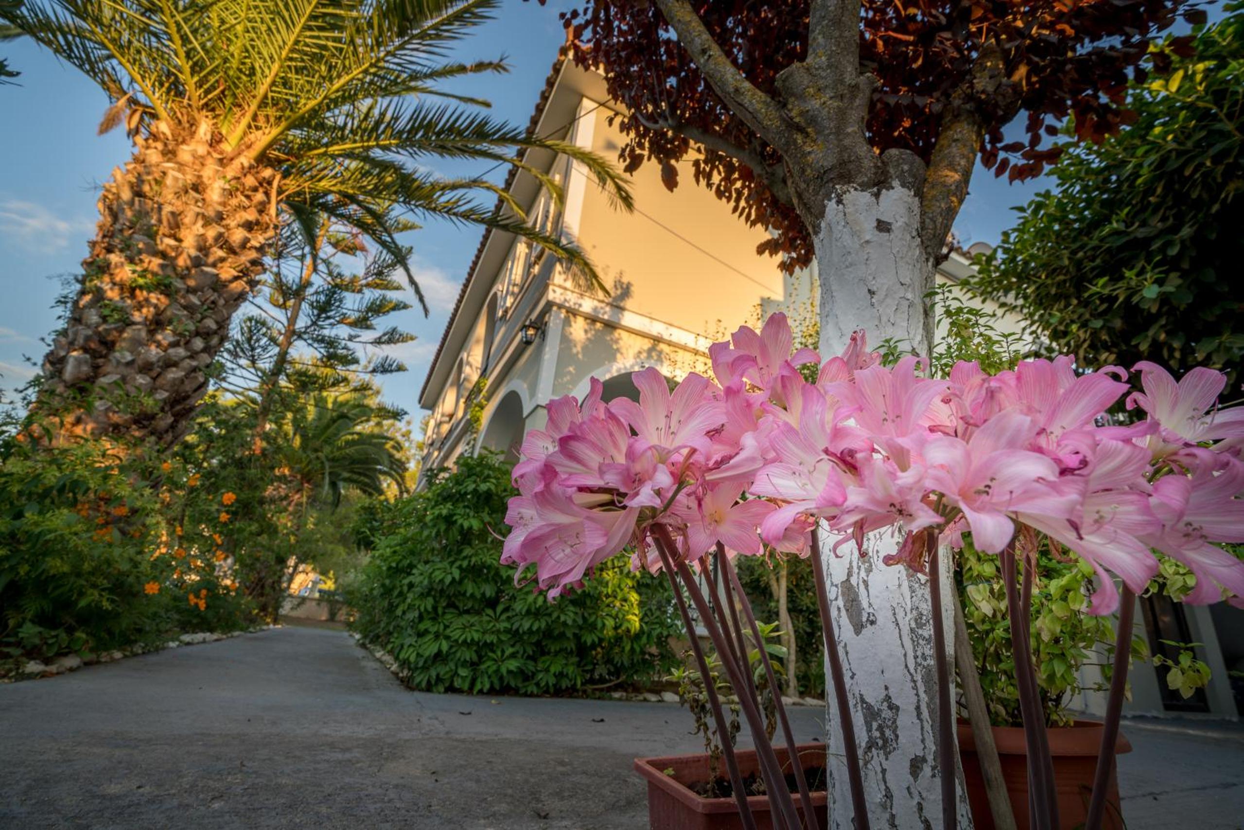Tota Studios