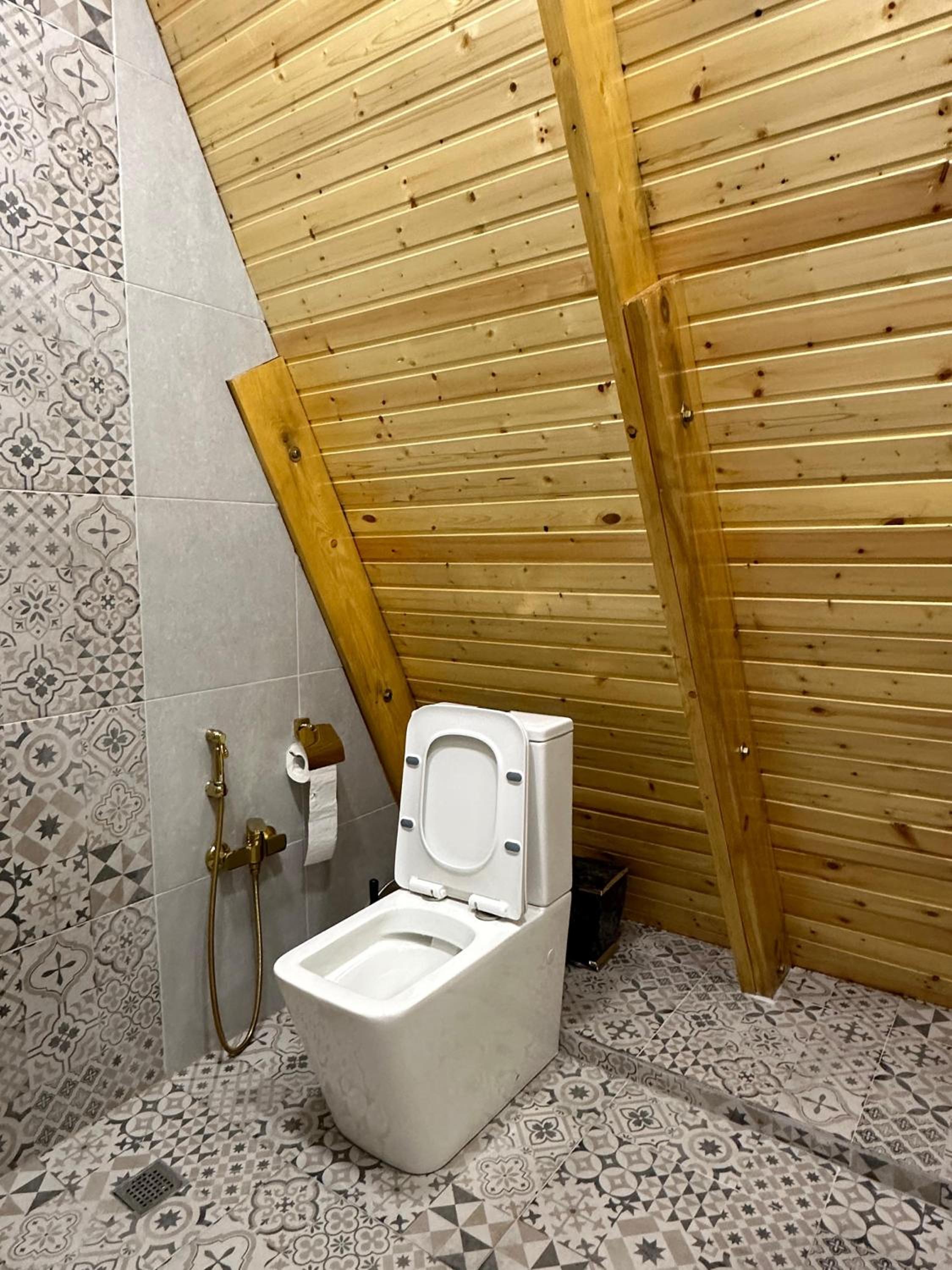 Dreamsville Chalet Gabala