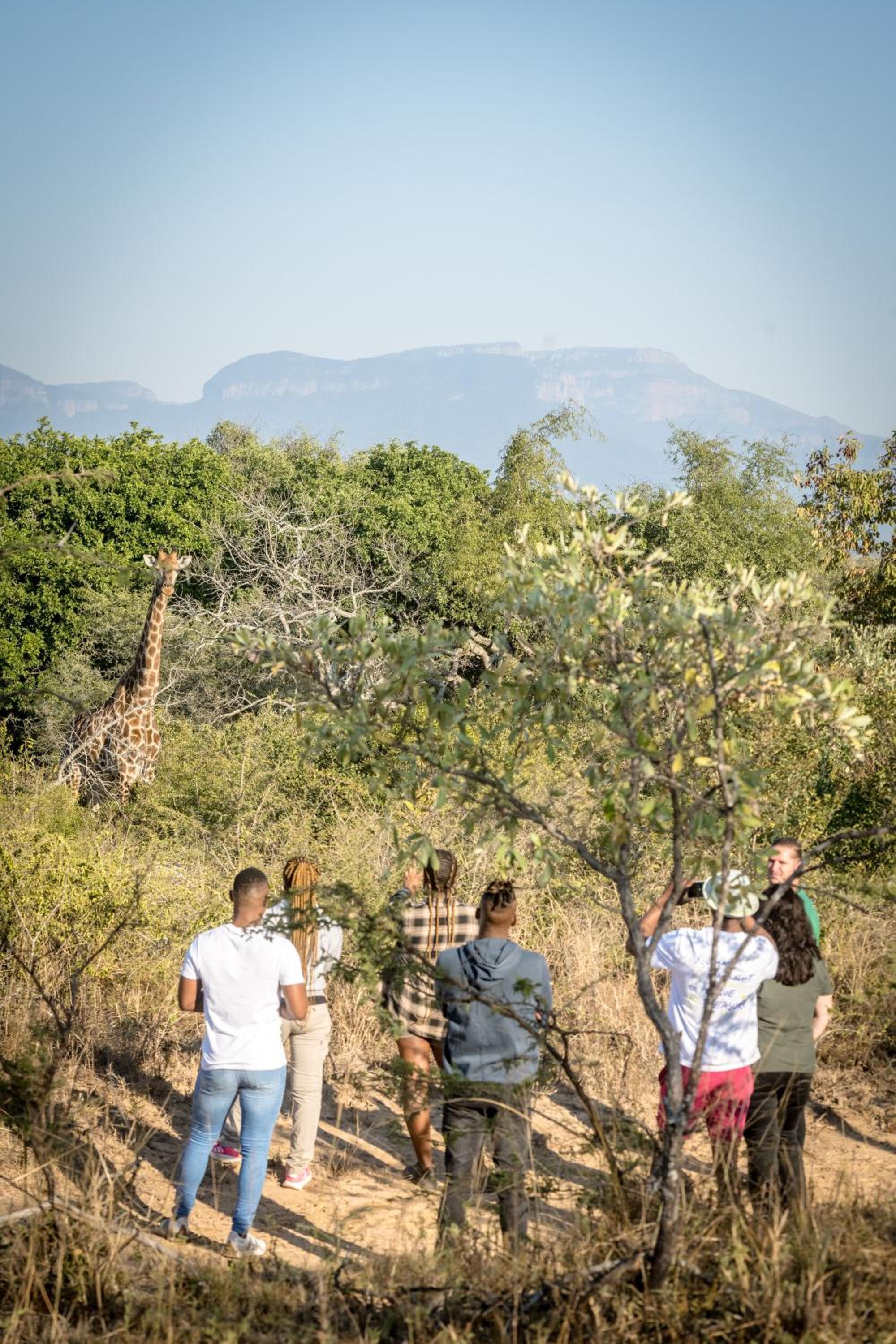 Sunbirds Oasis Lodge