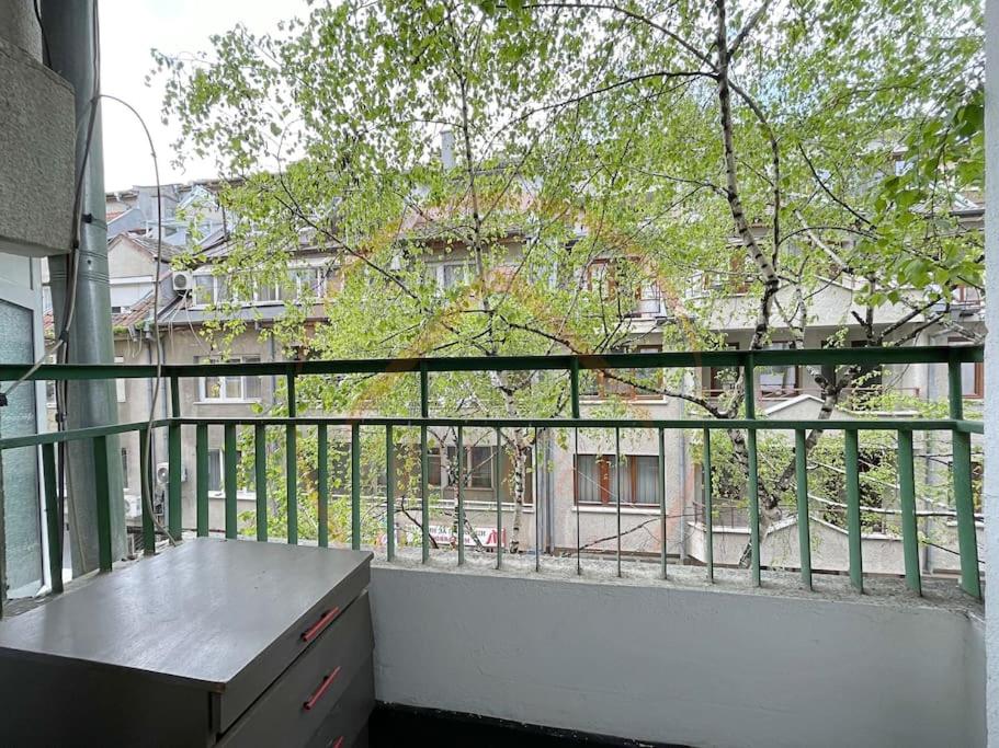 In the Heart of Varna