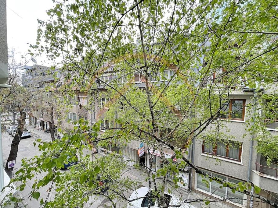 In the Heart of Varna