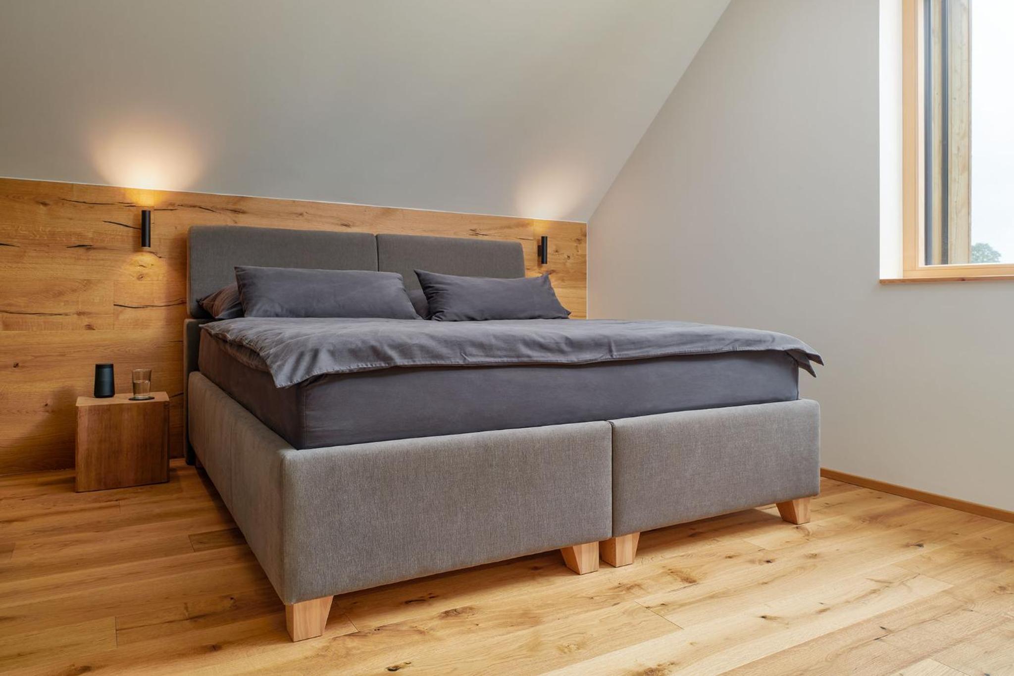 Apartmán Bedřich VI.