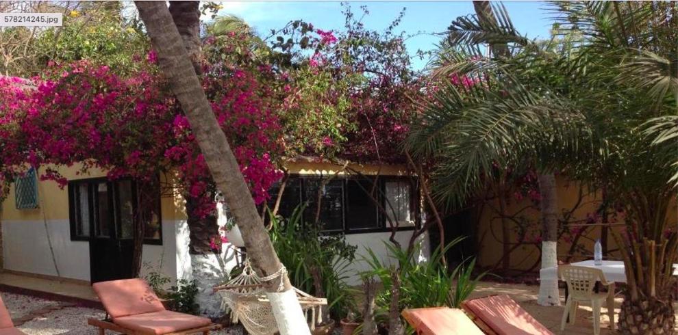 ECOLODGE SAFARI