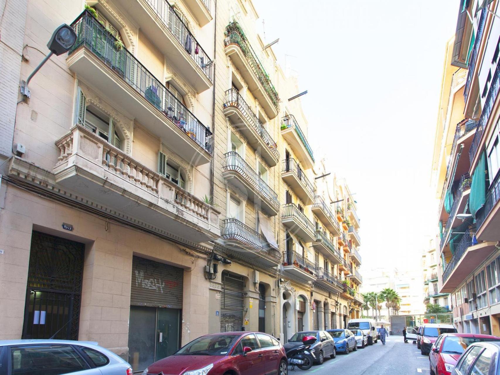 Wonderful apartment Elkano photo 4