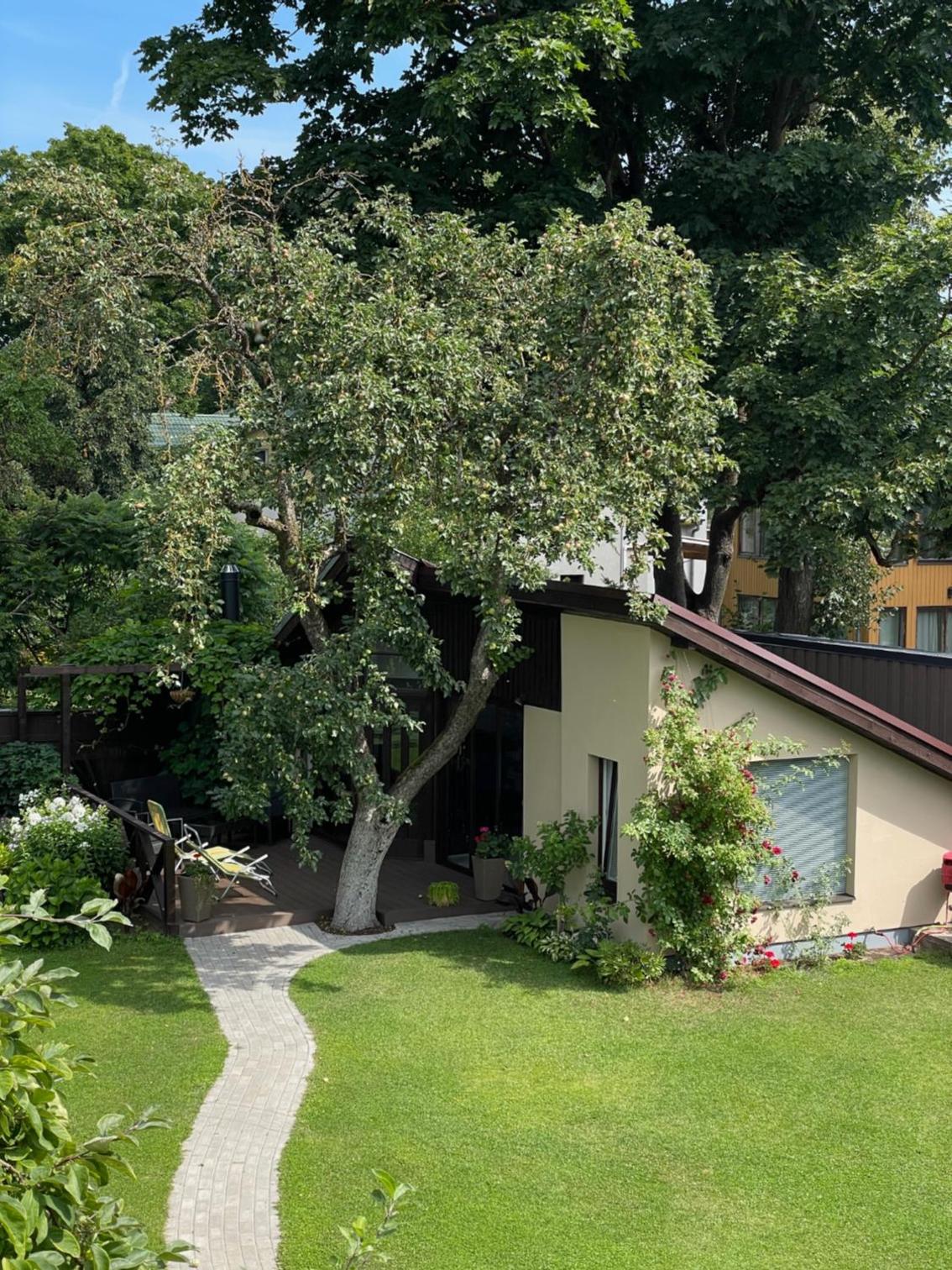 Summer chalet in the heart of Riga view 5