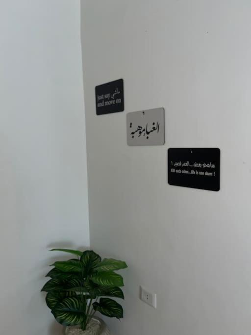 Cozy 2BR in New Maadi Nasr street
