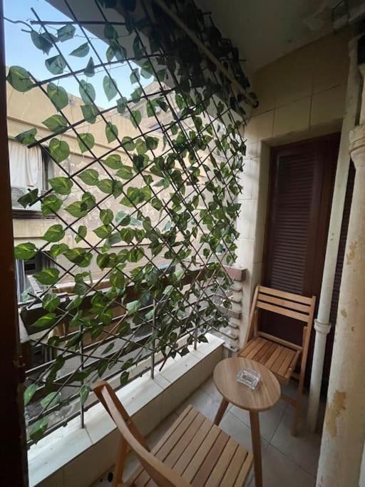 Cozy 2BR in New Maadi Nasr street