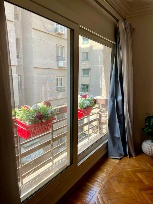 Cozy 2BR in New Maadi Nasr street