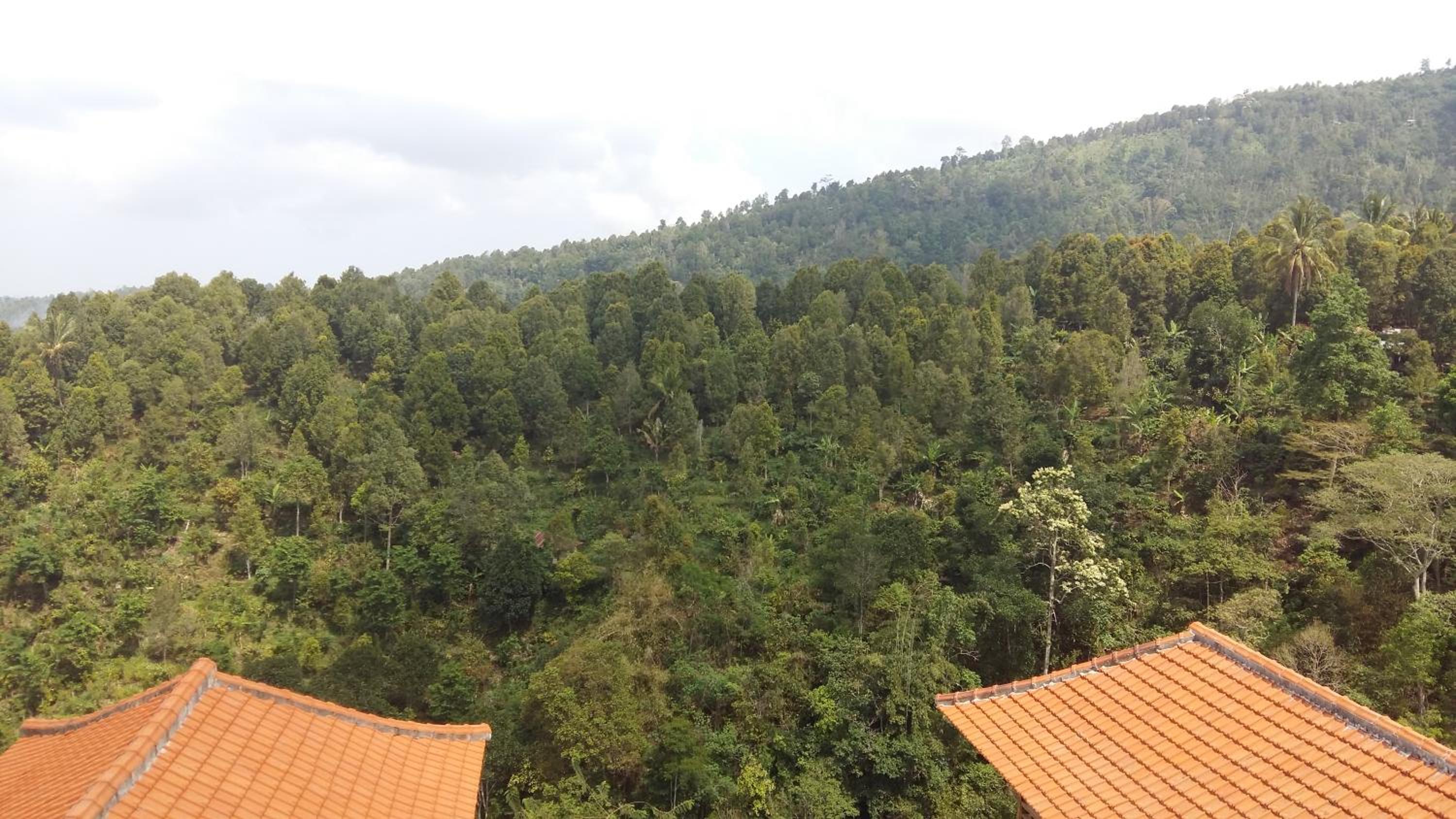 Melanting Cottages
