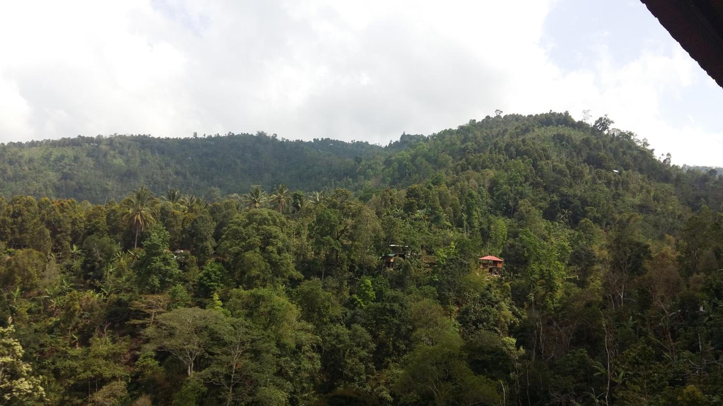 Melanting Cottages