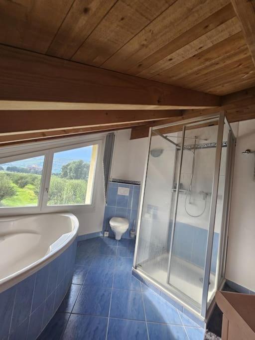 Stunning Apartment next to Sion