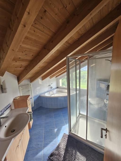 Stunning Apartment next to Sion