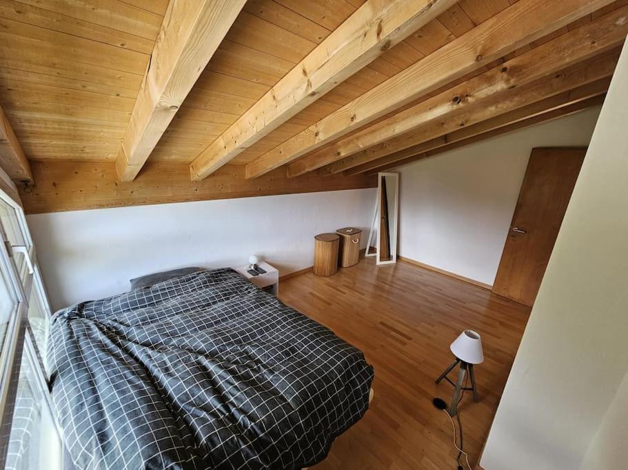 Stunning Apartment next to Sion
