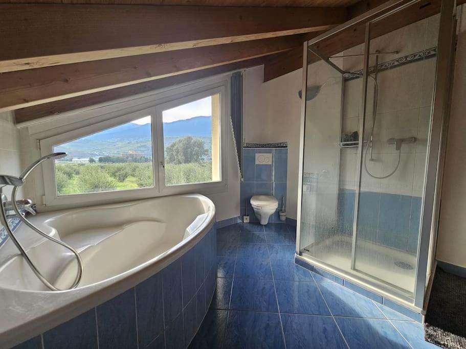 Stunning Apartment next to Sion