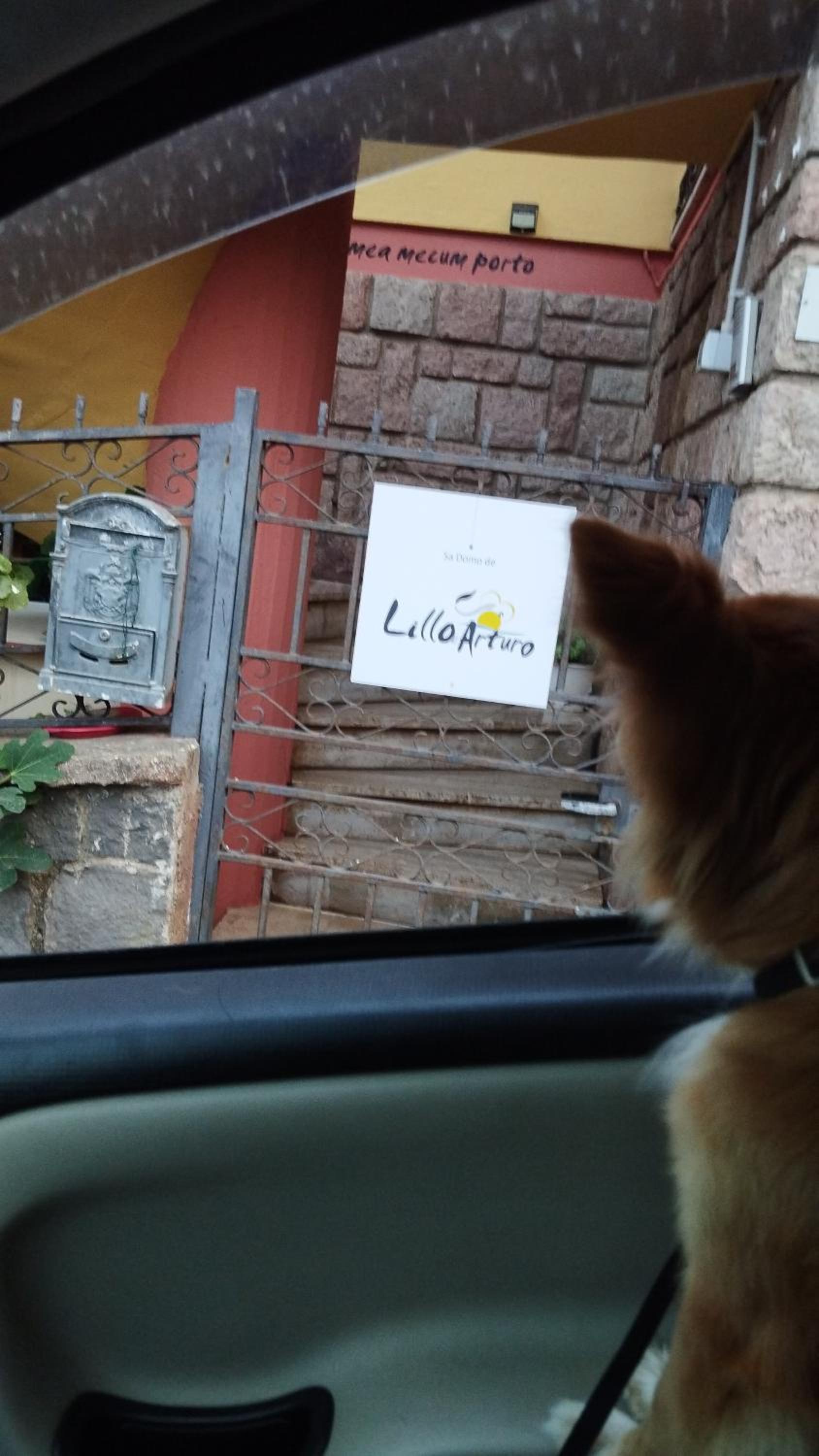 Sa Domo de Lillo e Arturo