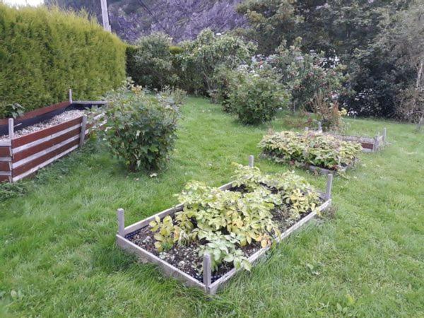 Idyllic house&garden, urban&quiet area, free car parking view 4