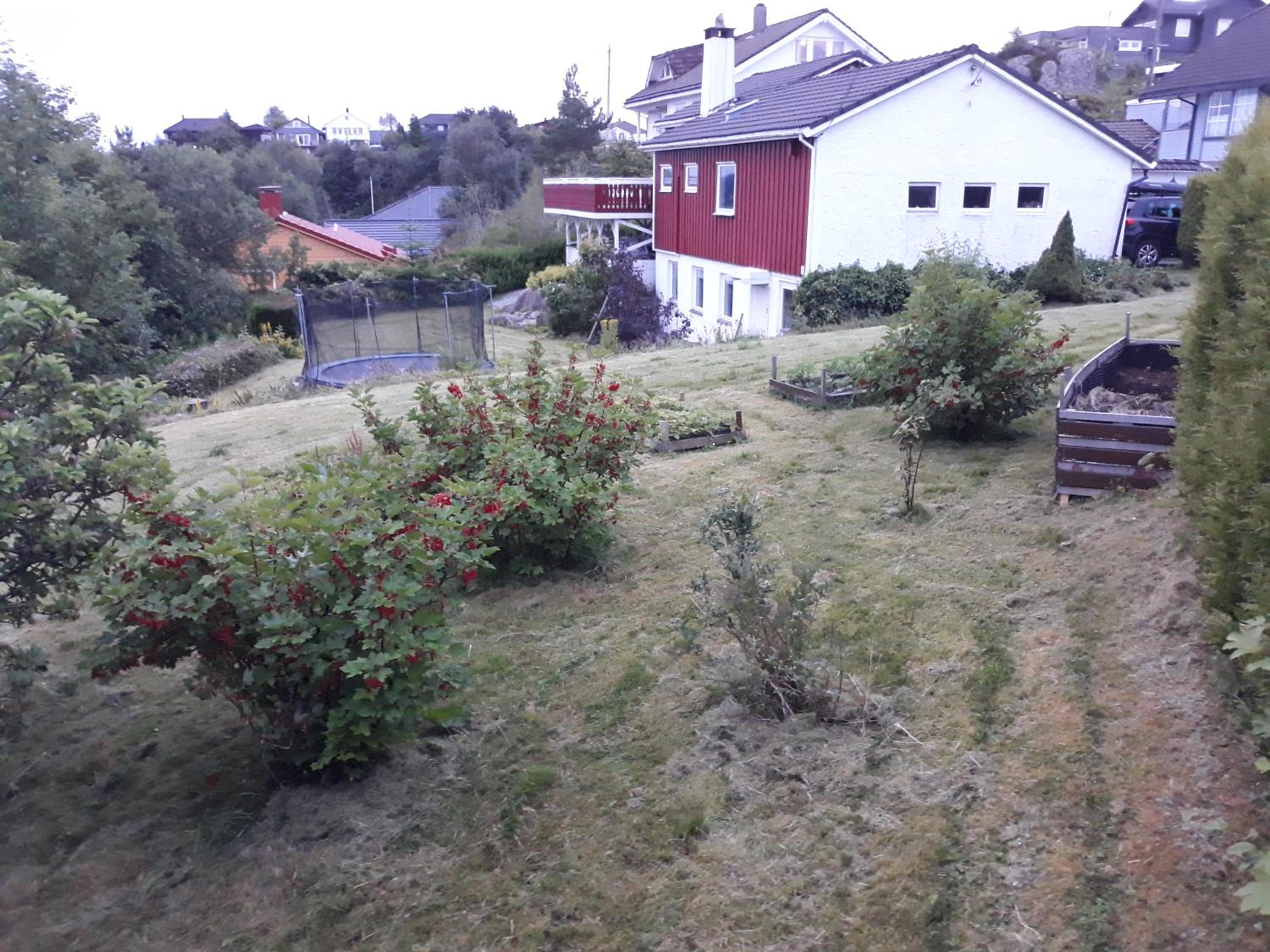 Idyllic house&garden, urban&quiet area, free car parking view 3