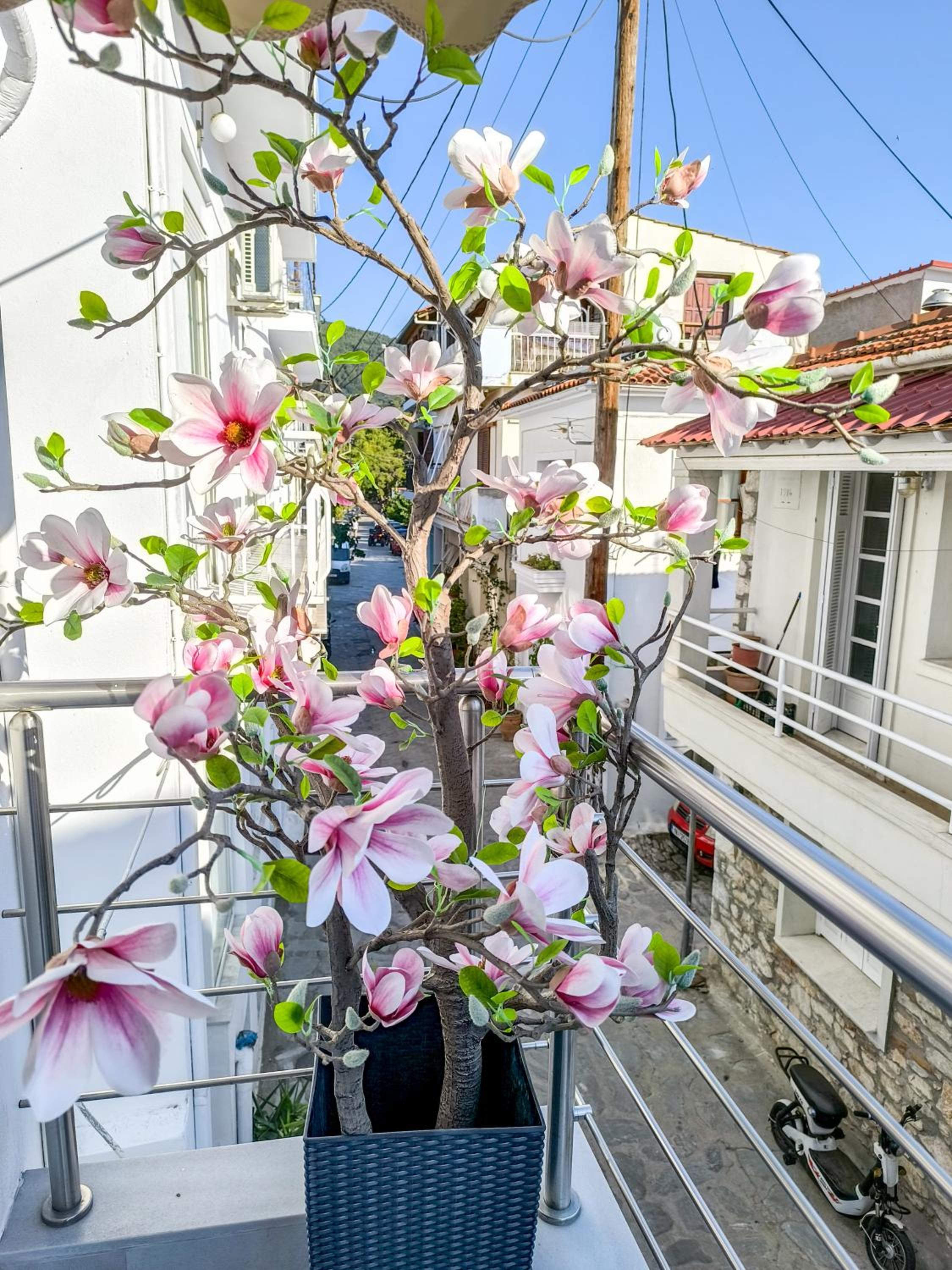 Ermina House