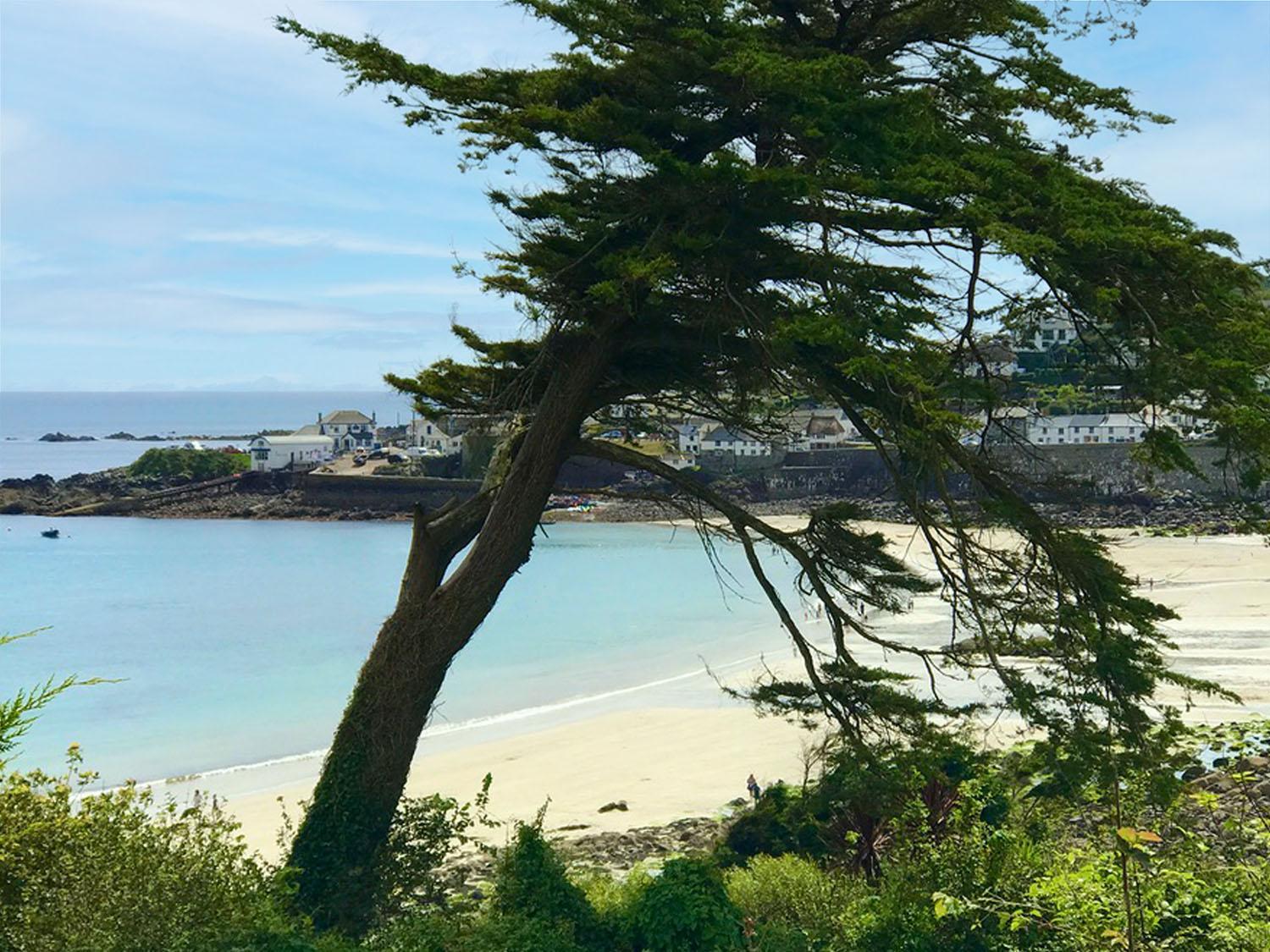 Sea Breeze