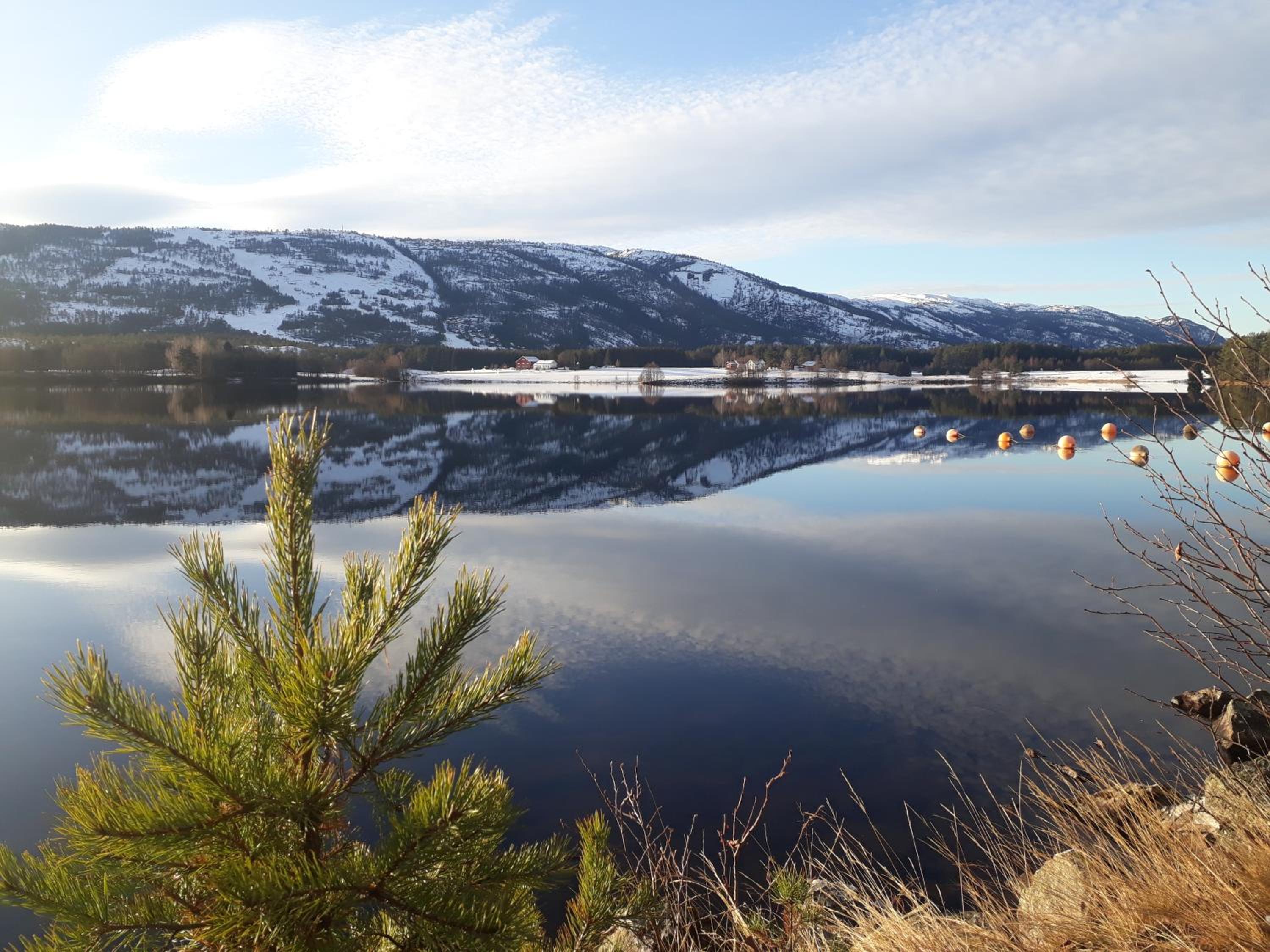 Weitblicken - Cosy Holiday Home with stunning views