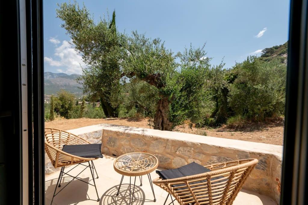 Mani Senses Luxury Villa photo 5