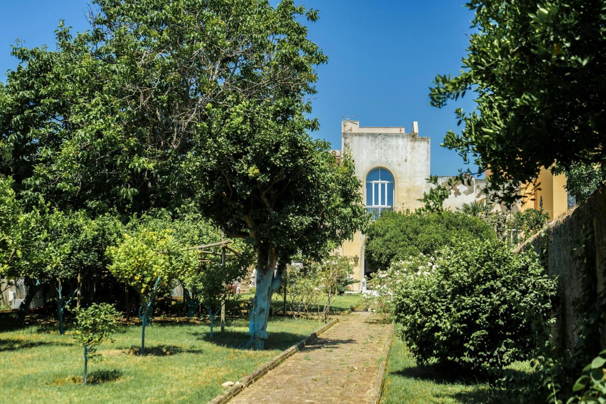 Il Palazzo