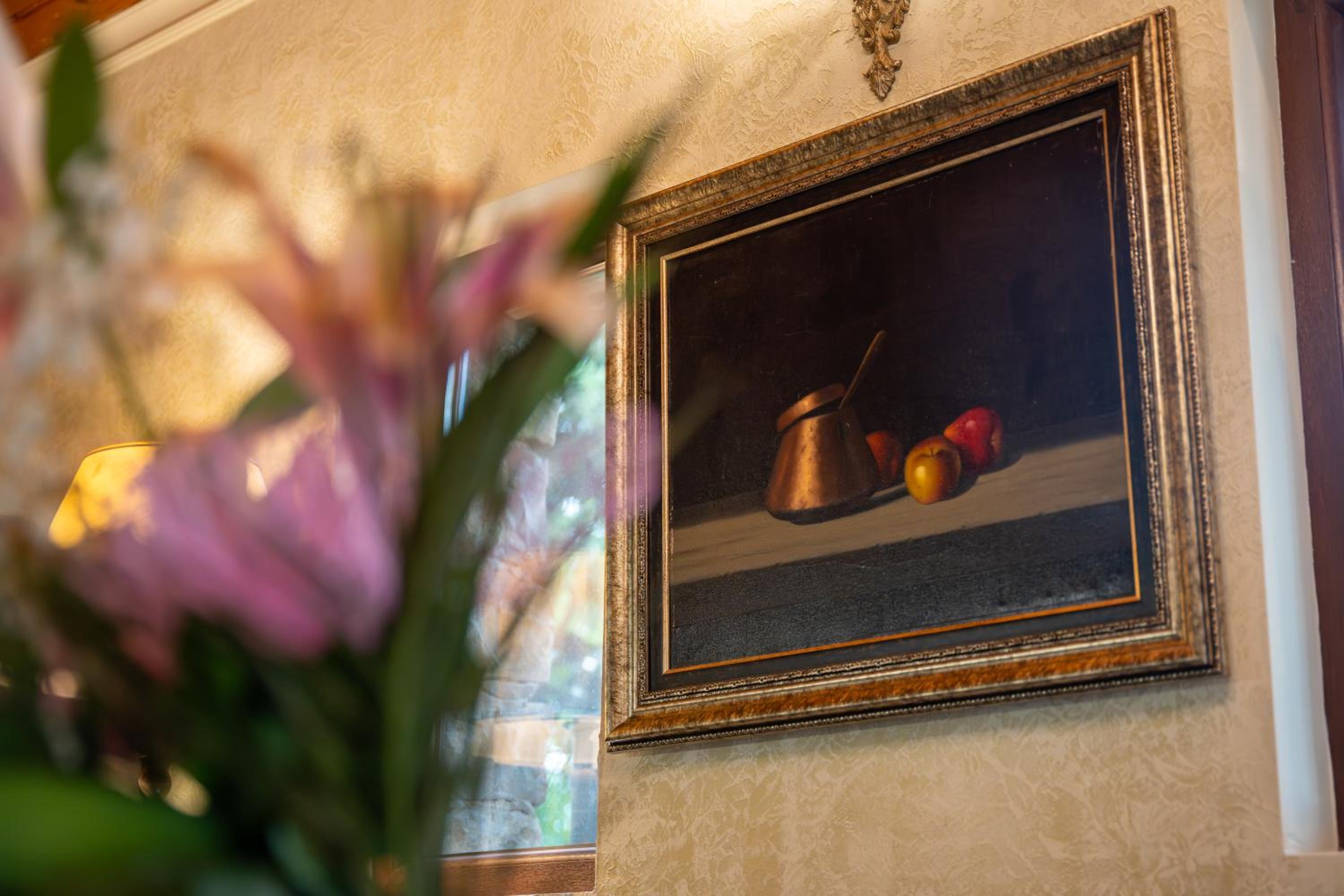 Stella Guesthouse