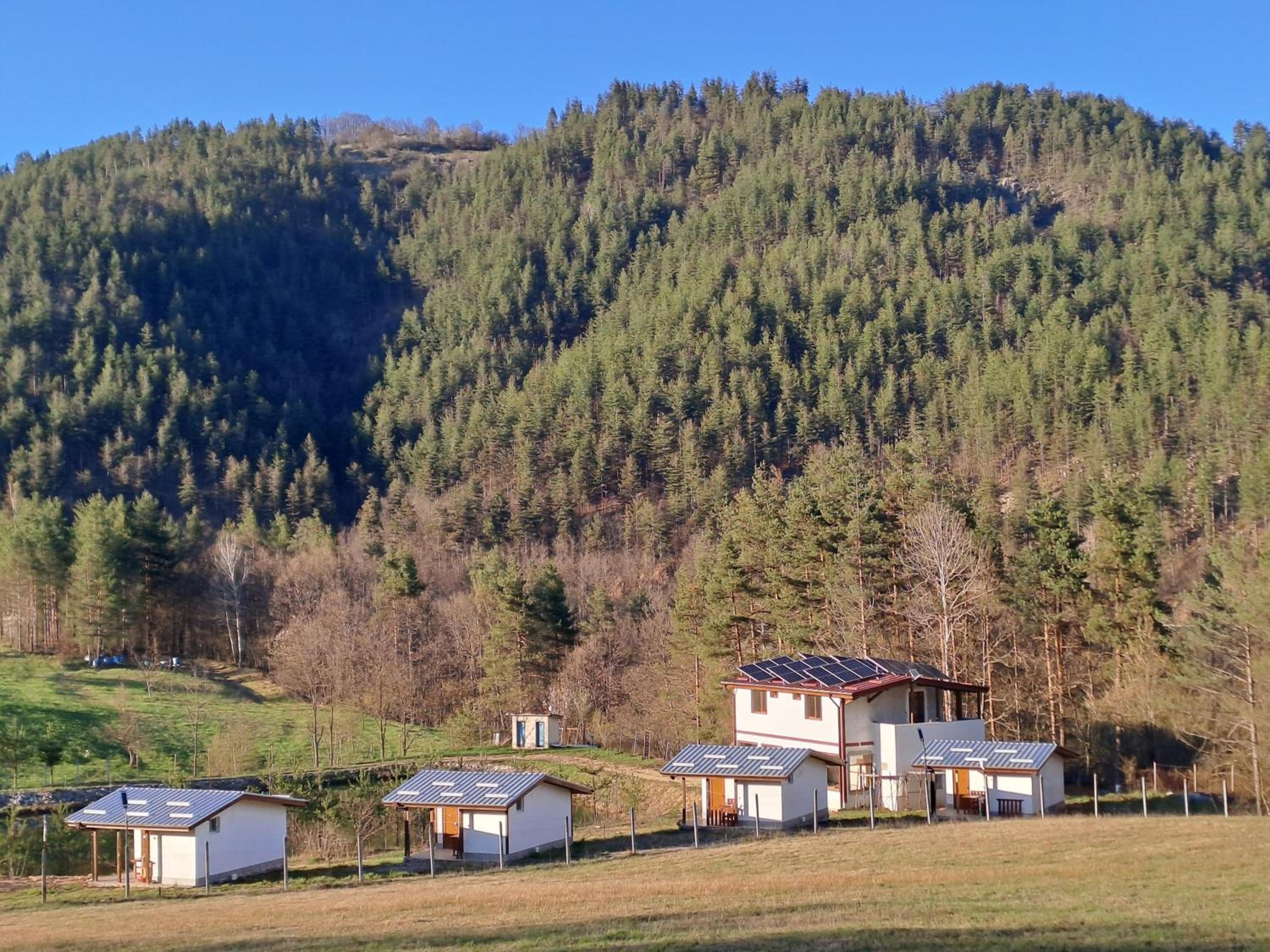 SavayaTribe
