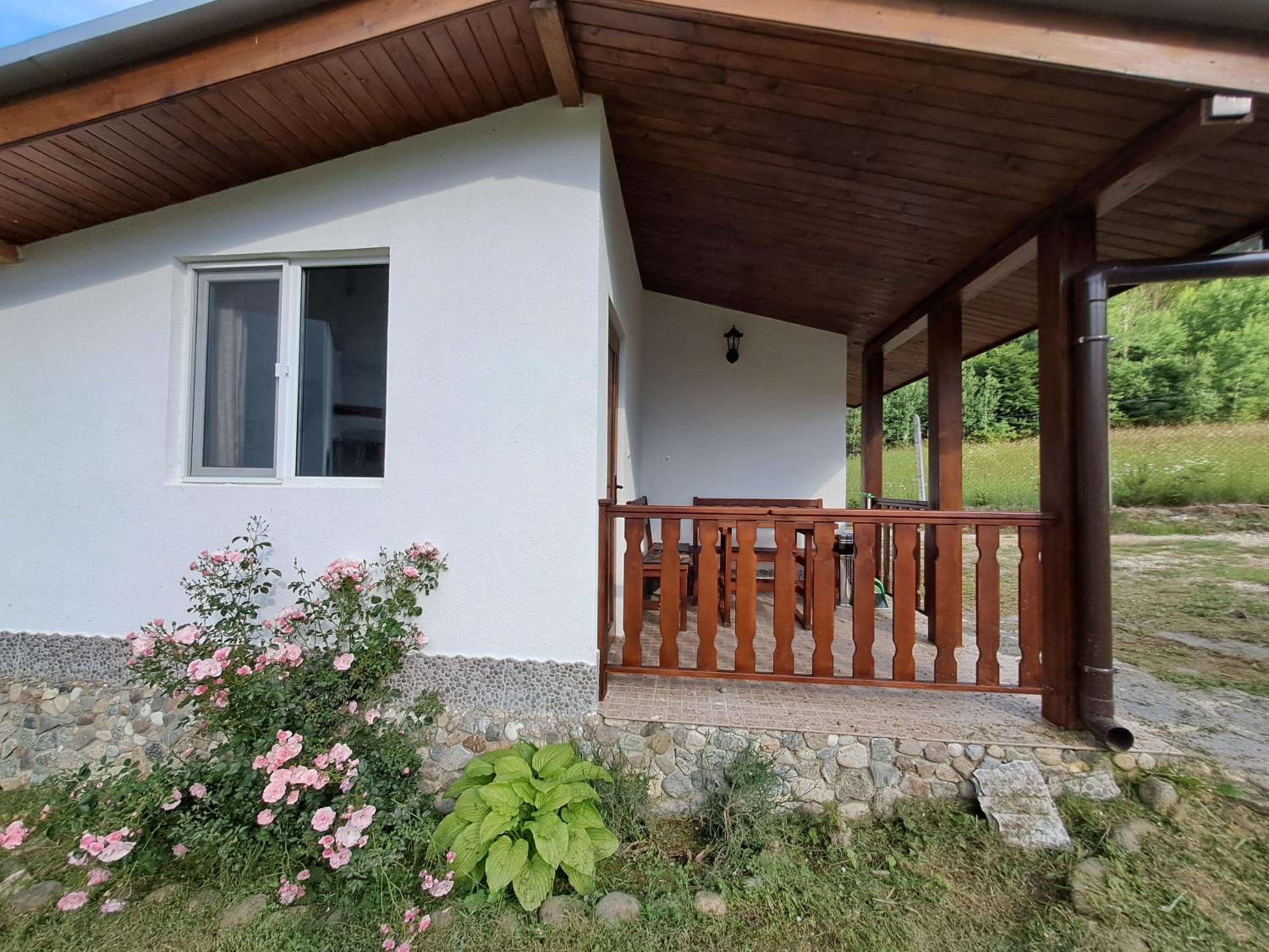 SavayaTribe