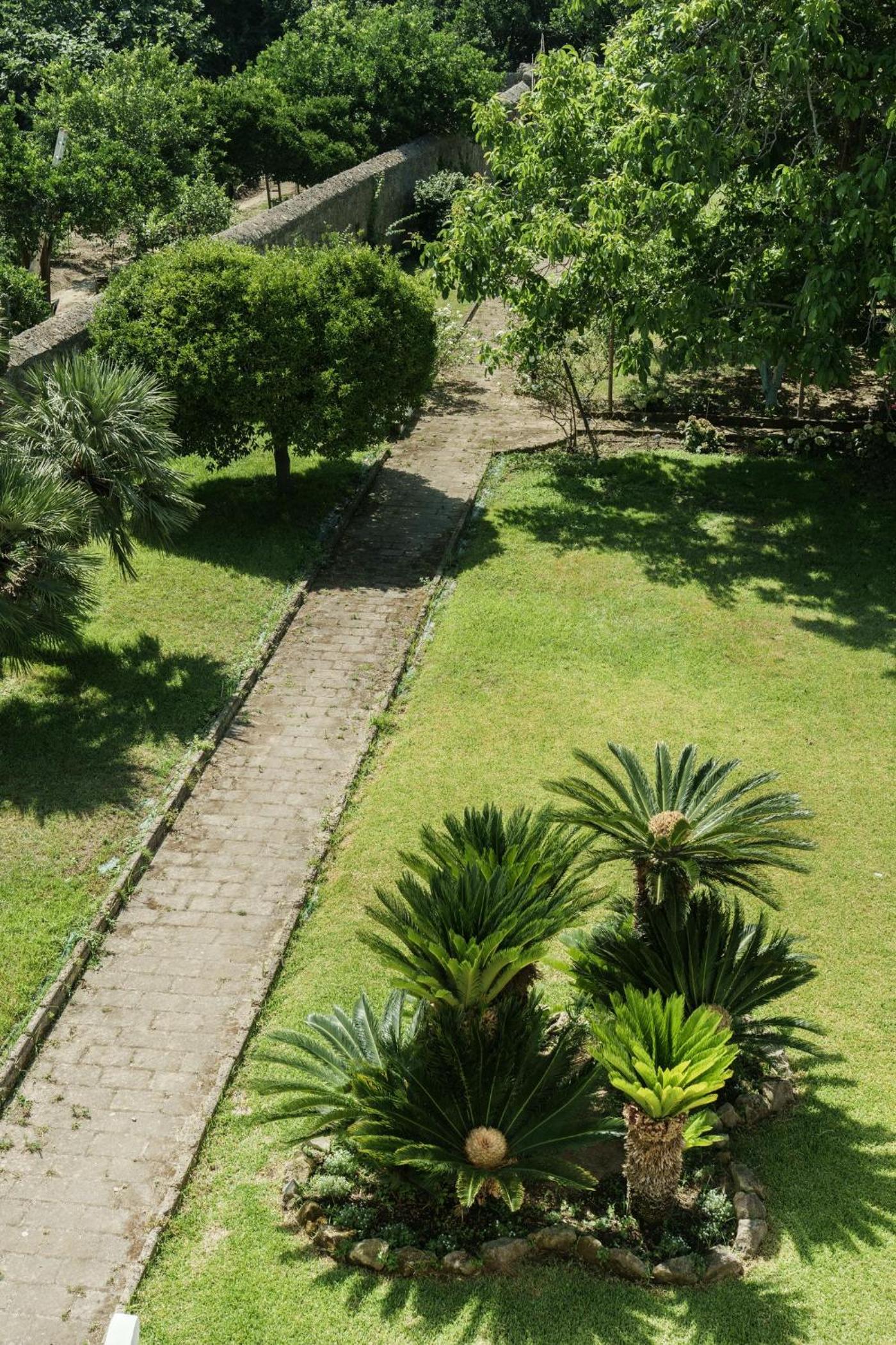 Il Palazzo